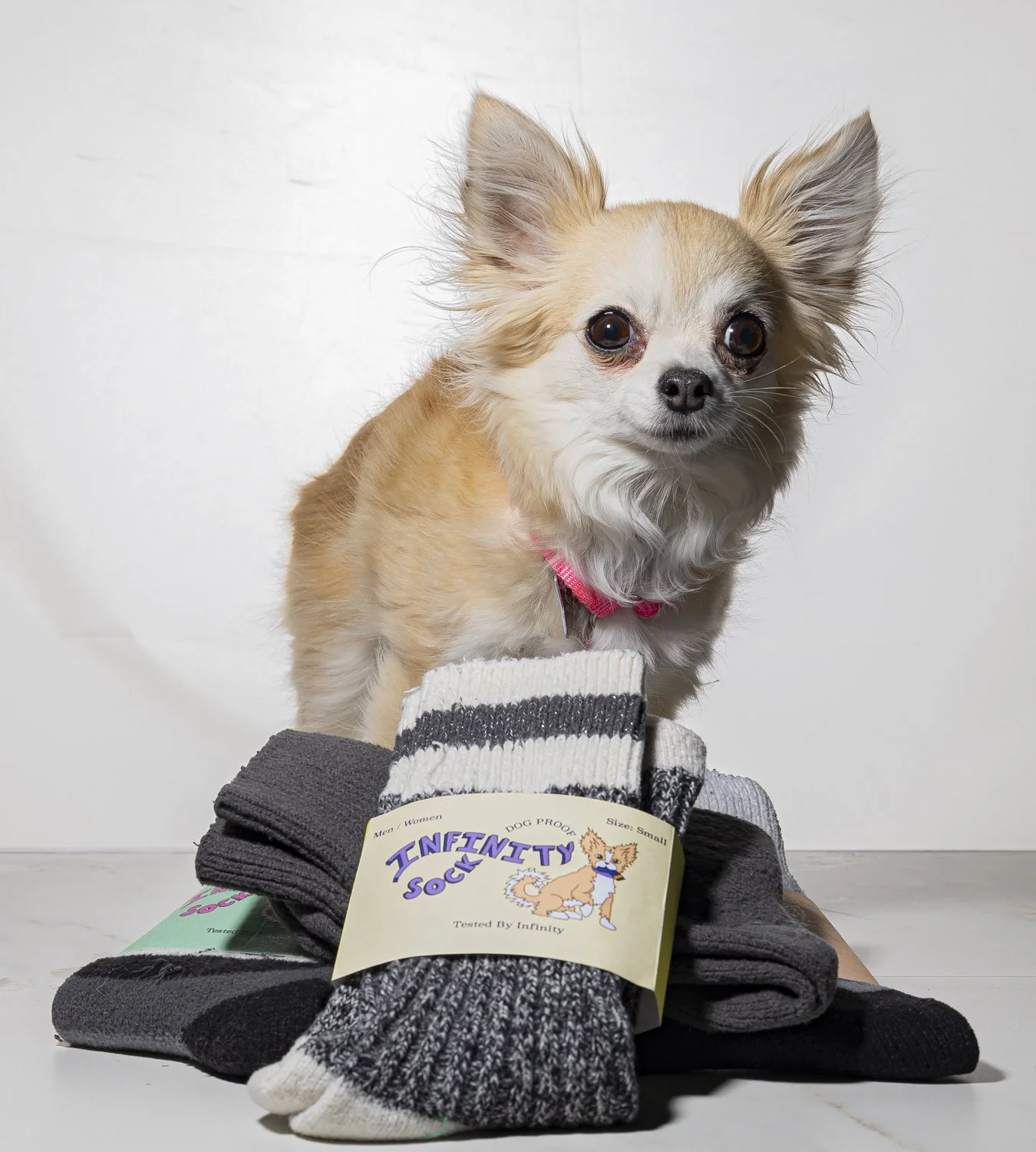 Reed_Catera_Final Photos-4.jpg