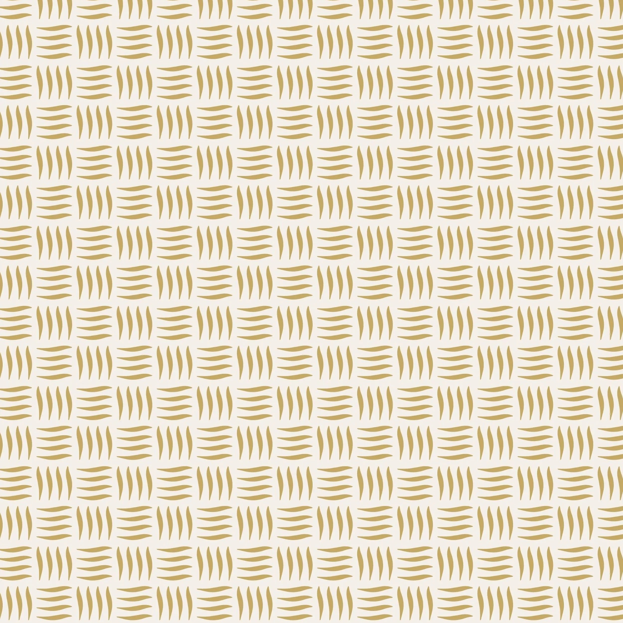 Wild%2BStripes.jpg
