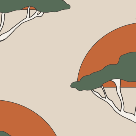 Acacia Sunset