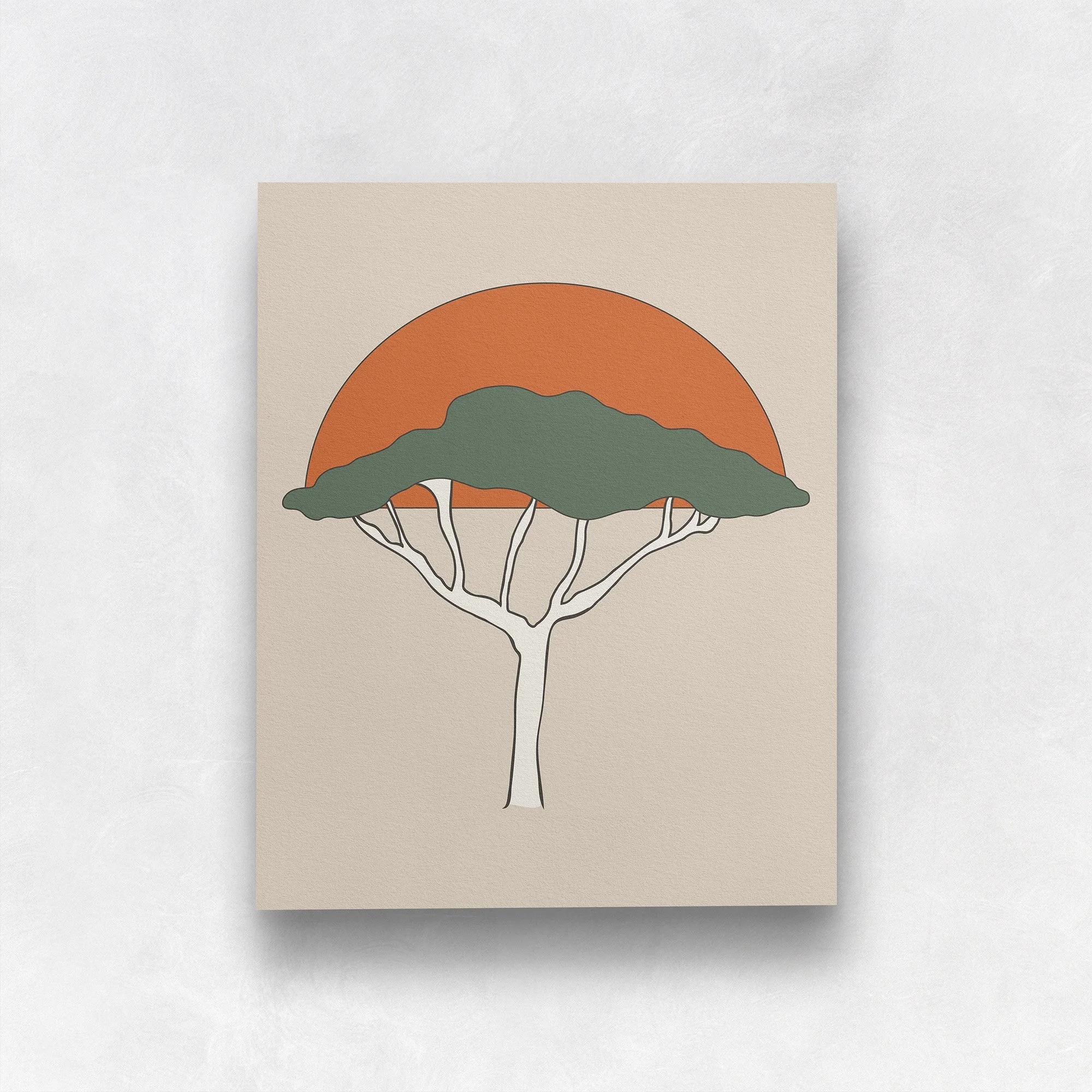 Acacia_Sunset_CSD.jpg