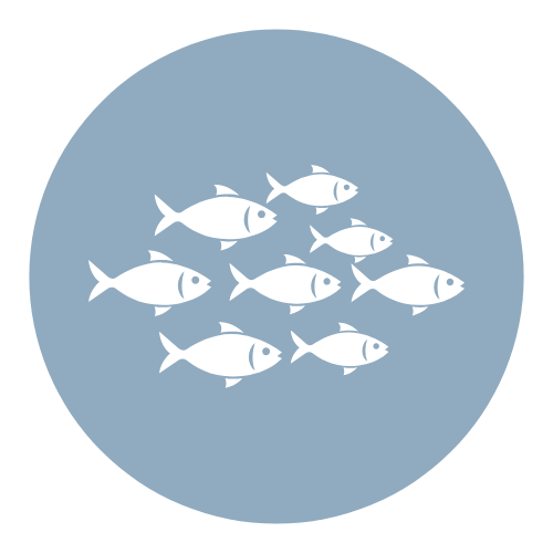 Illustration of seven white fish swimming inside a blue circular background.