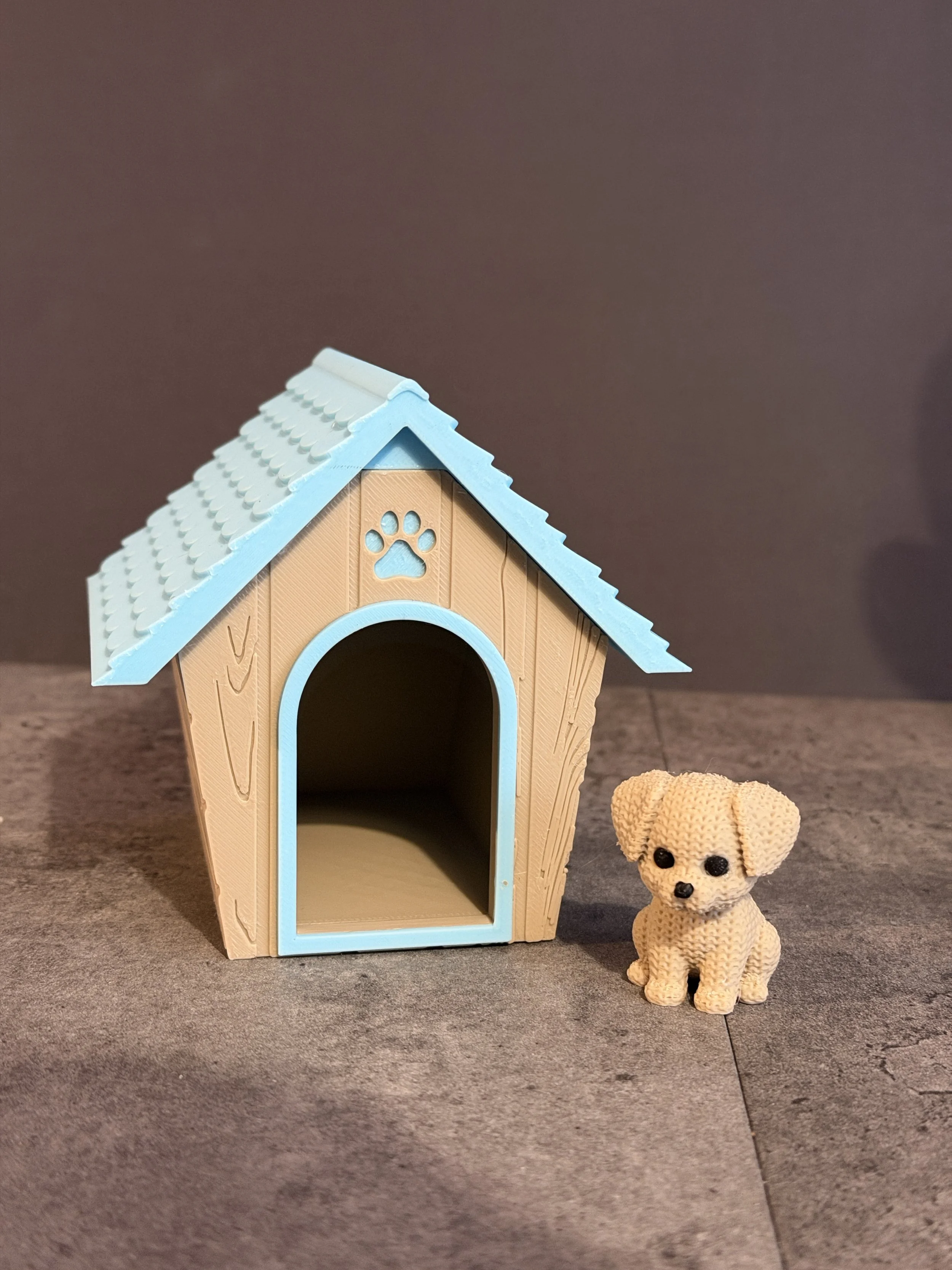 Dog & House Combo