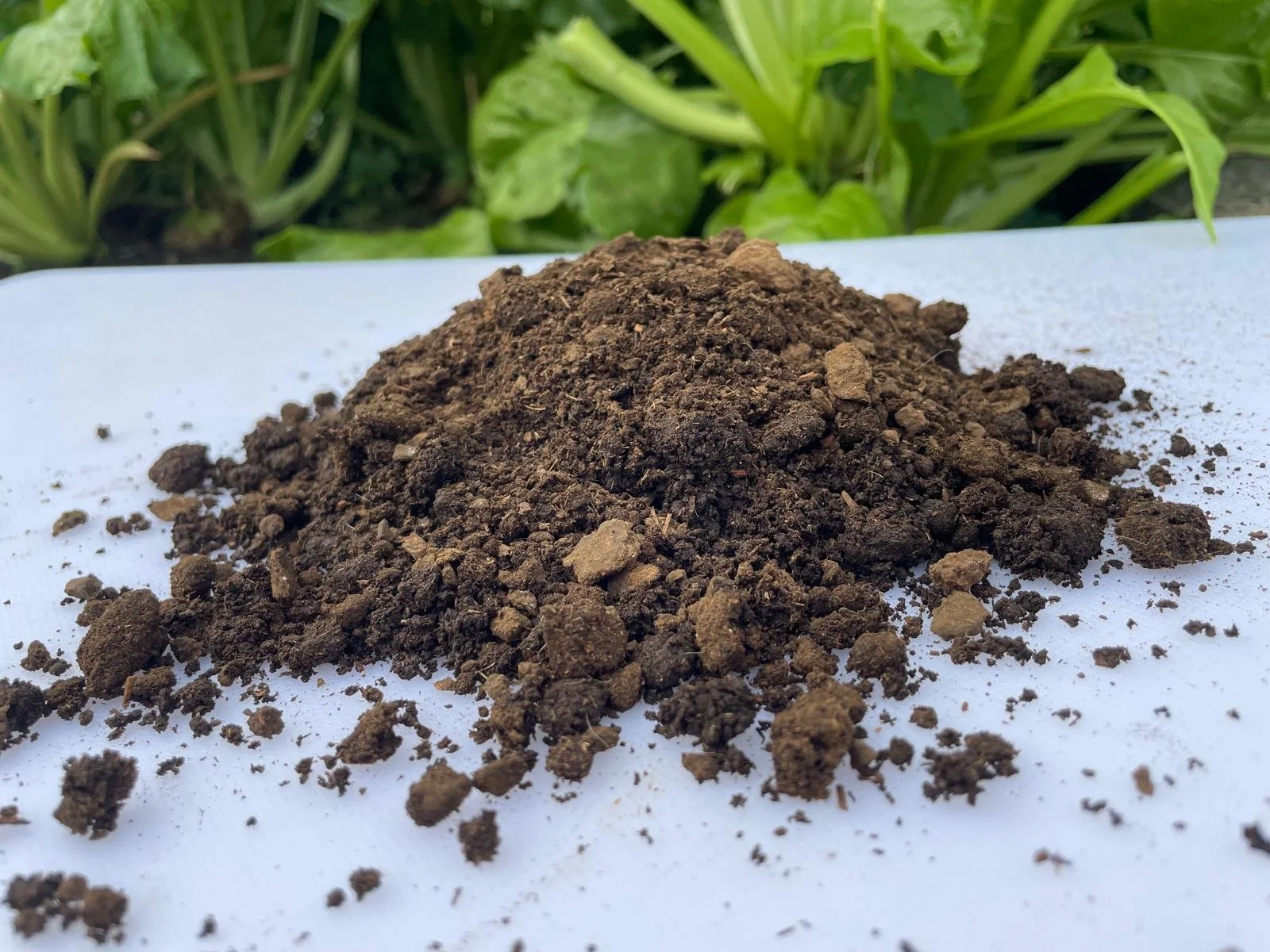Pile of dark brown soil on white surface with green foliage in background.