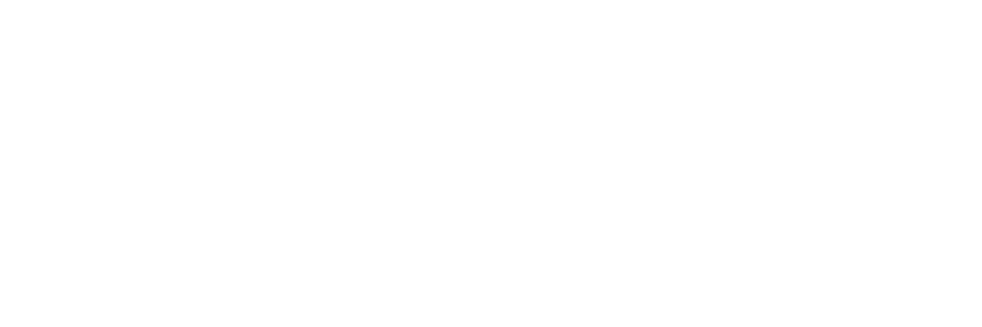 Phoenix Wing Consulting, LLC