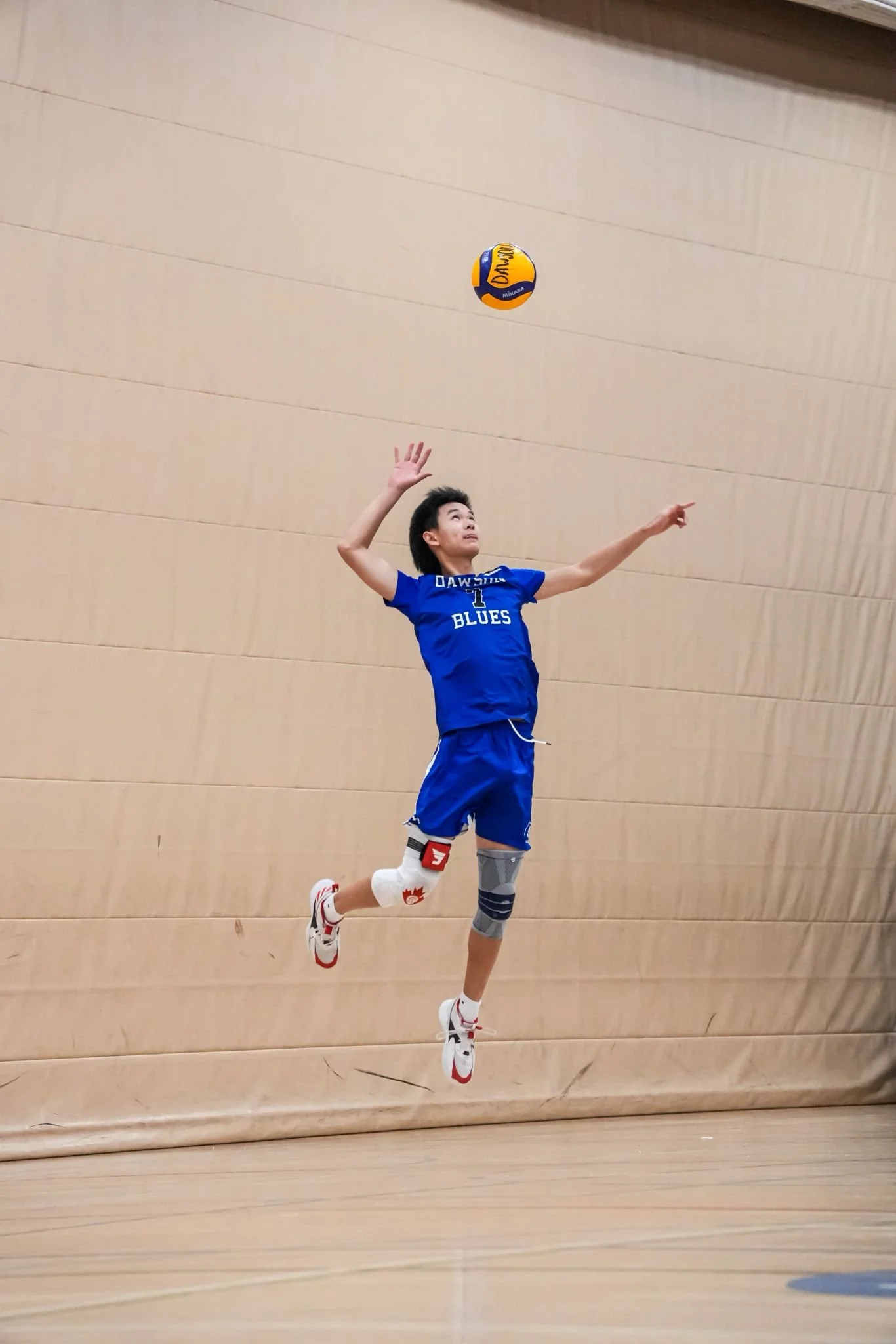 Volleyball