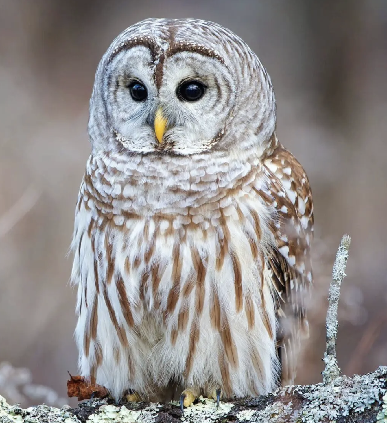 Experiential Field Trips