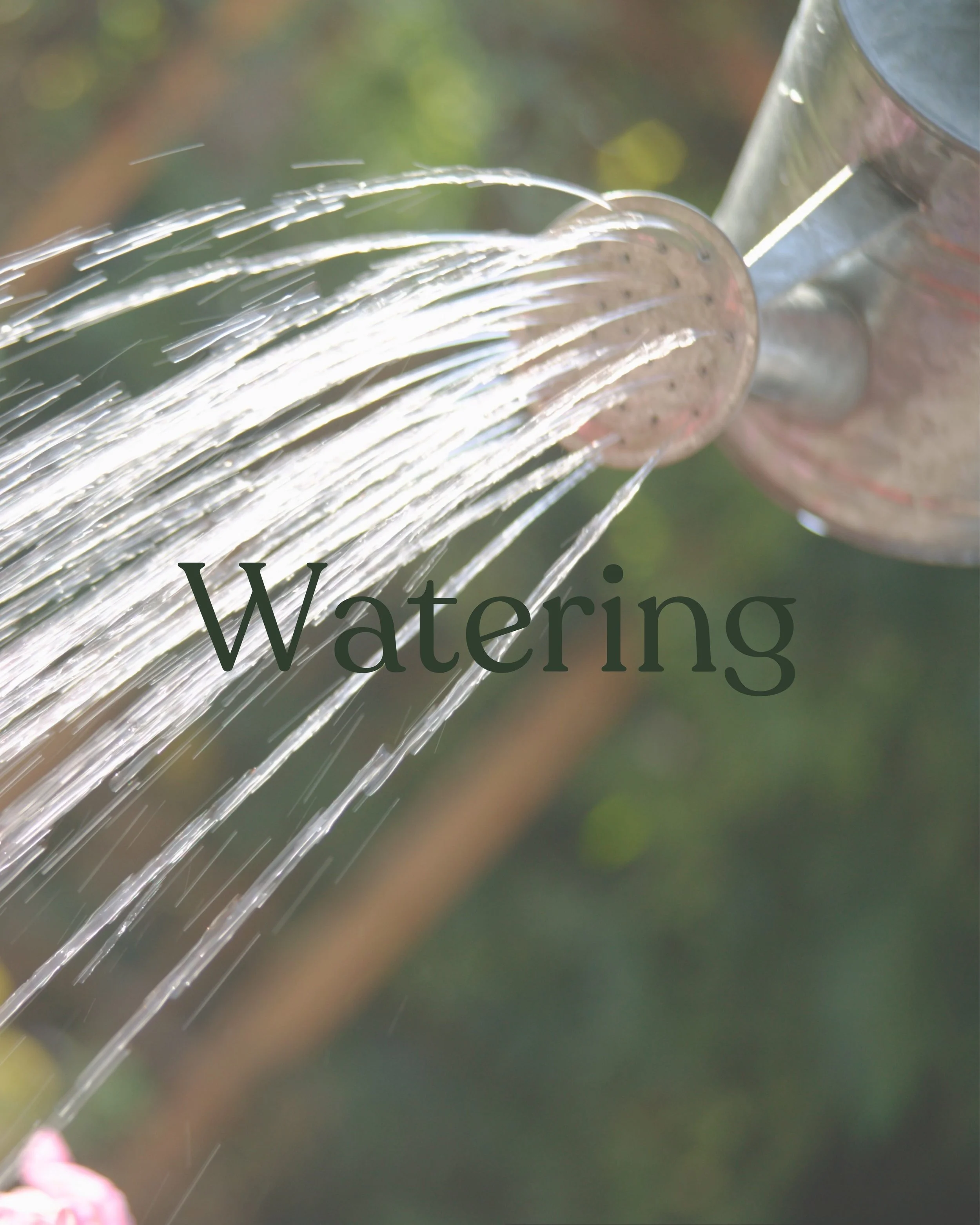 Close-up of a watering can pouring water through a spout.