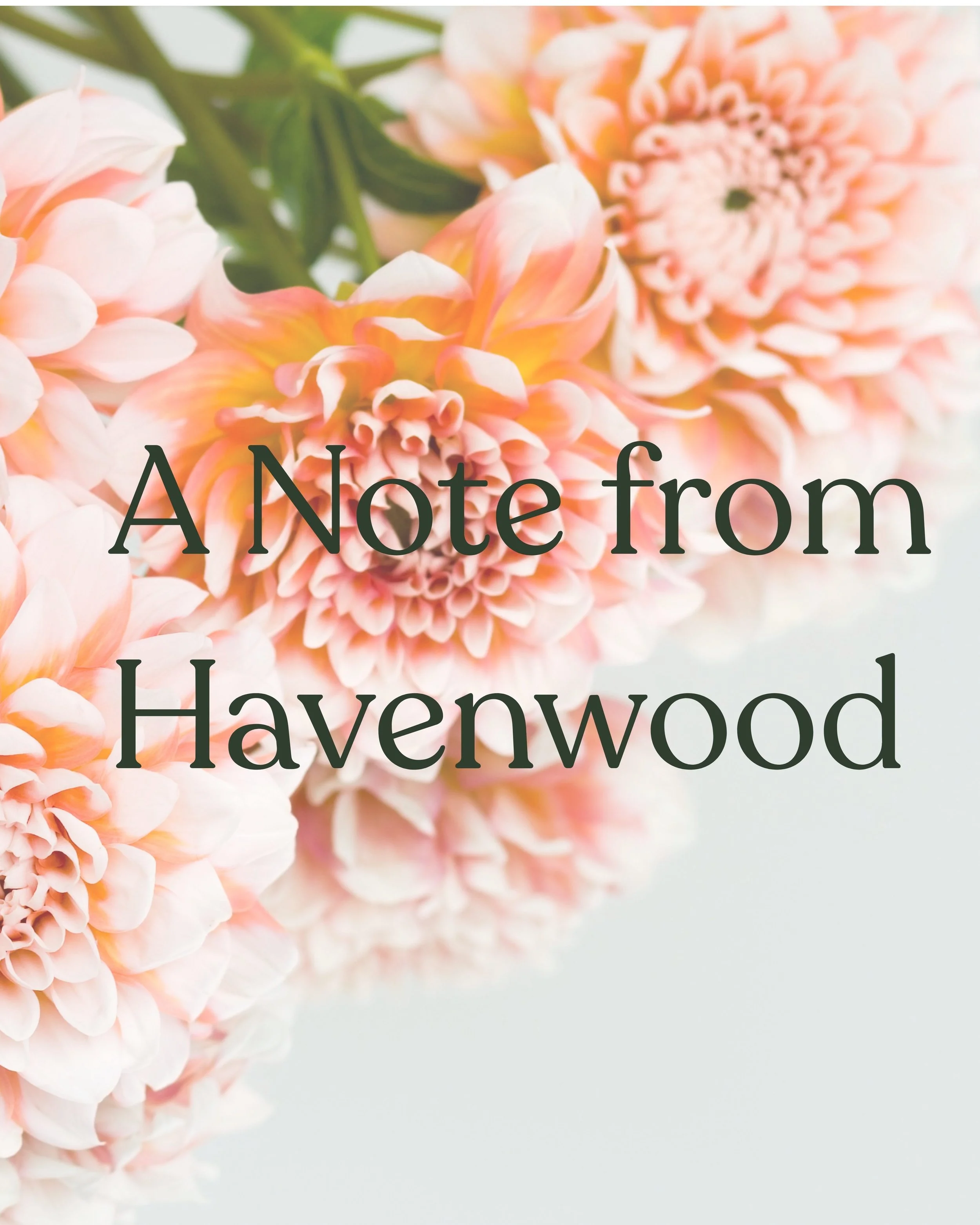 Close-up of pink and peach dahlias with reflection, overlaid with the text 'A Note from Havenwood'