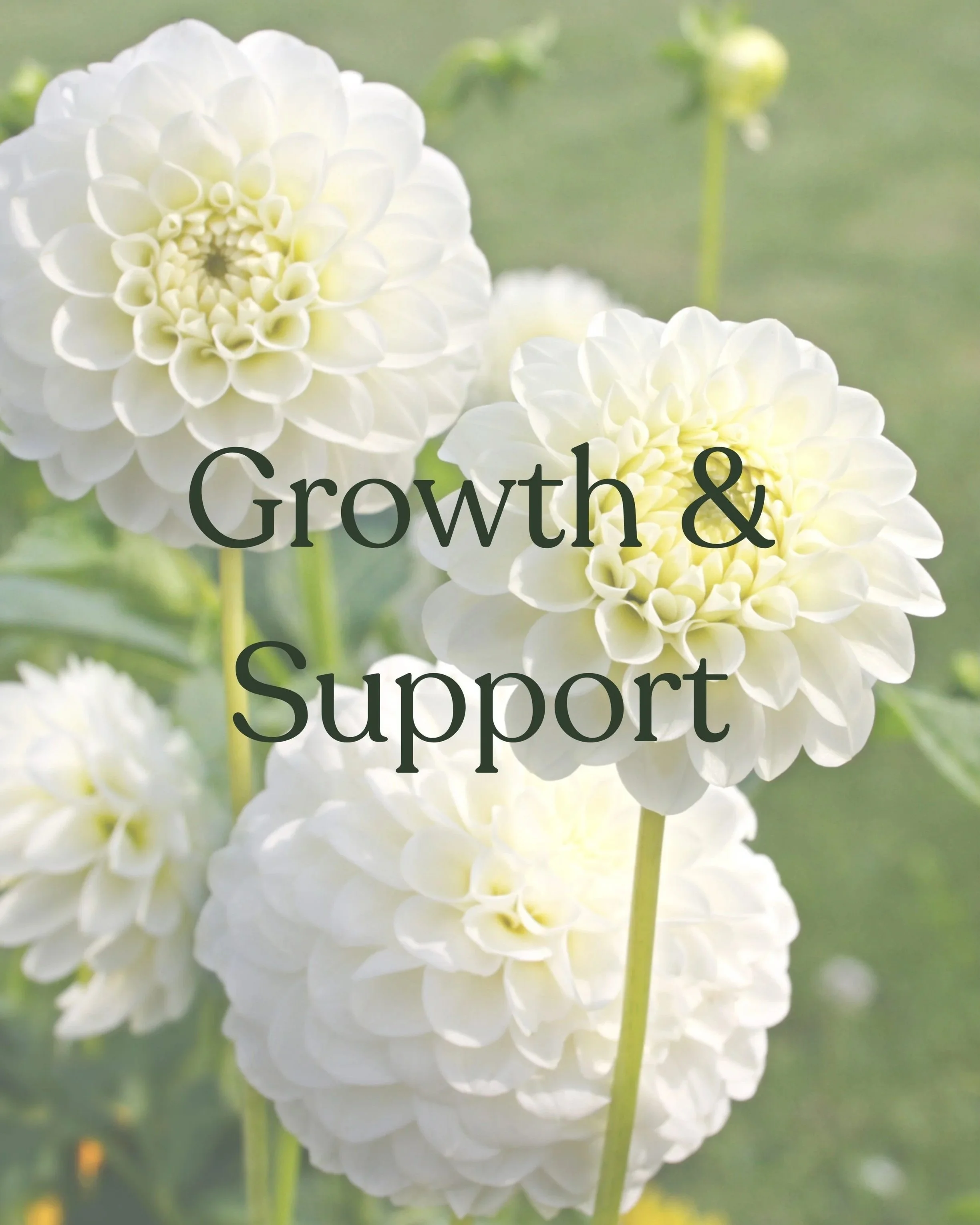 Close-up of white dahlias with the words 'Growth & Support' overlayed.