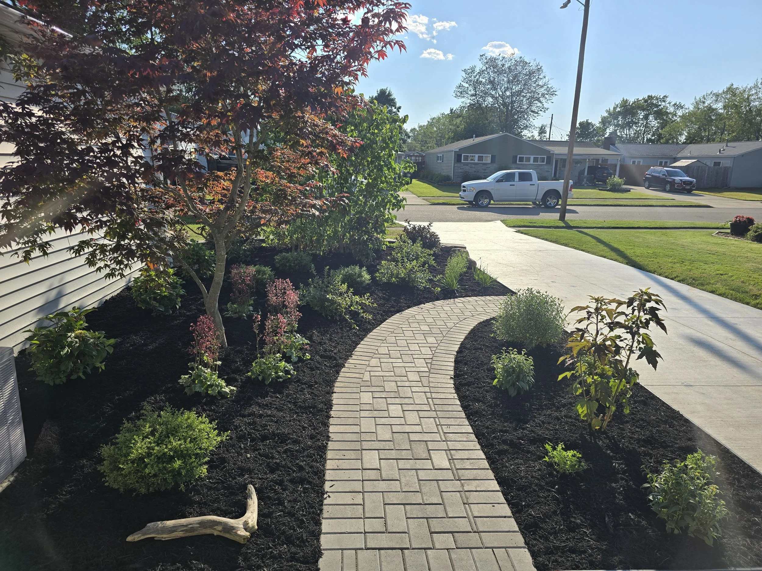 A curved brick pathway in a front yard garden with various plants and trees, neighboring houses across the street, and a clear sunny sky.