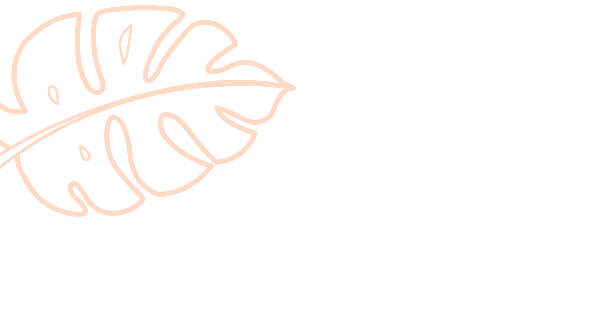 Pink neon line drawing of a Monstera leaf on a black background.