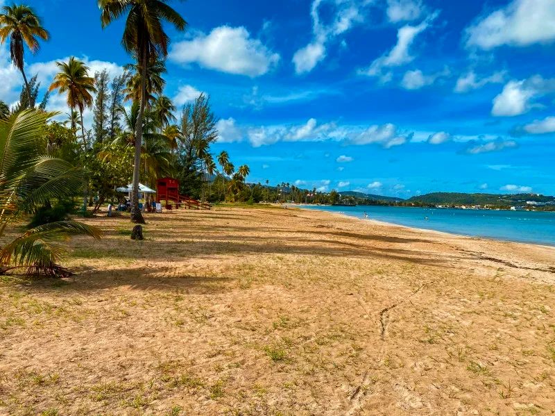 Luquillo tropical beach with palm trees, sandy shoreline, blue sky with clouds, and calm ocean water.