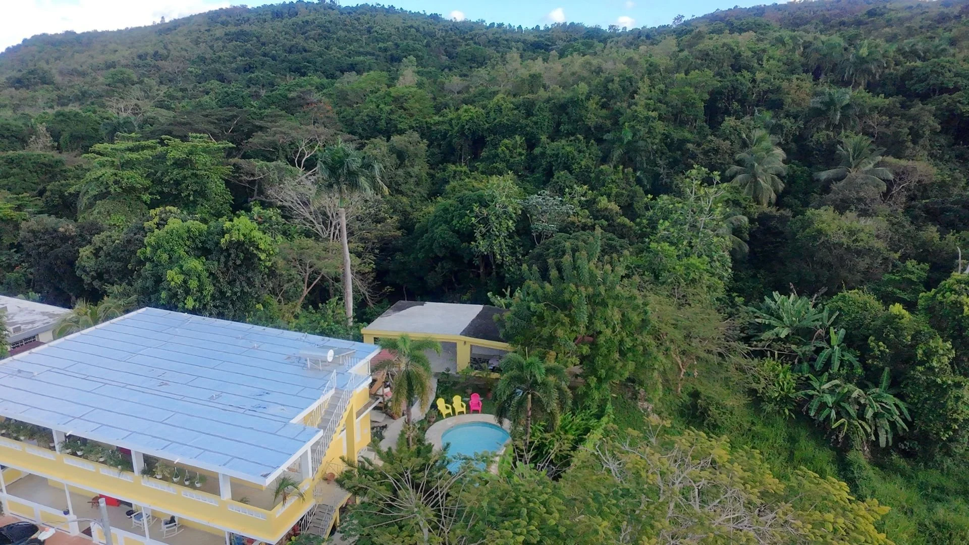 Dreamy view of LoveSoulBeautiful Ceiba from above.

