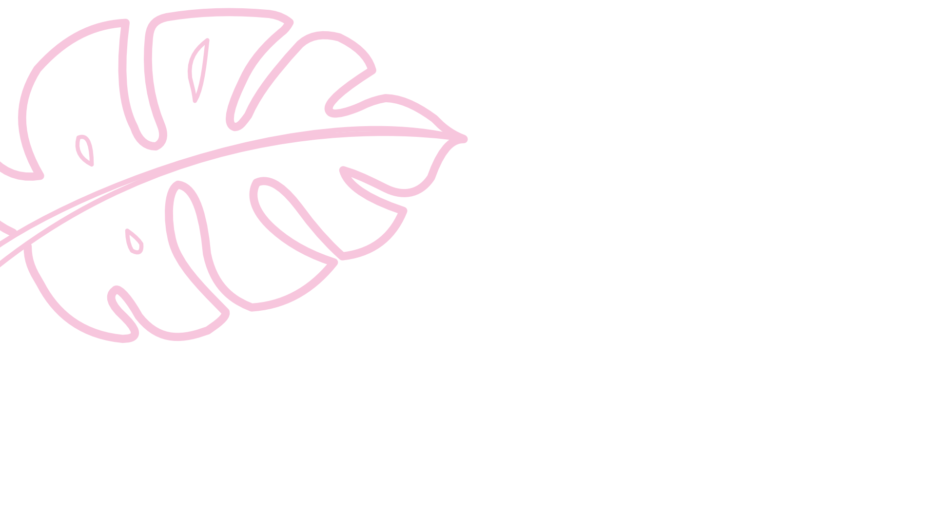 Pink neon line drawing of a Monstera leaf on a black background.