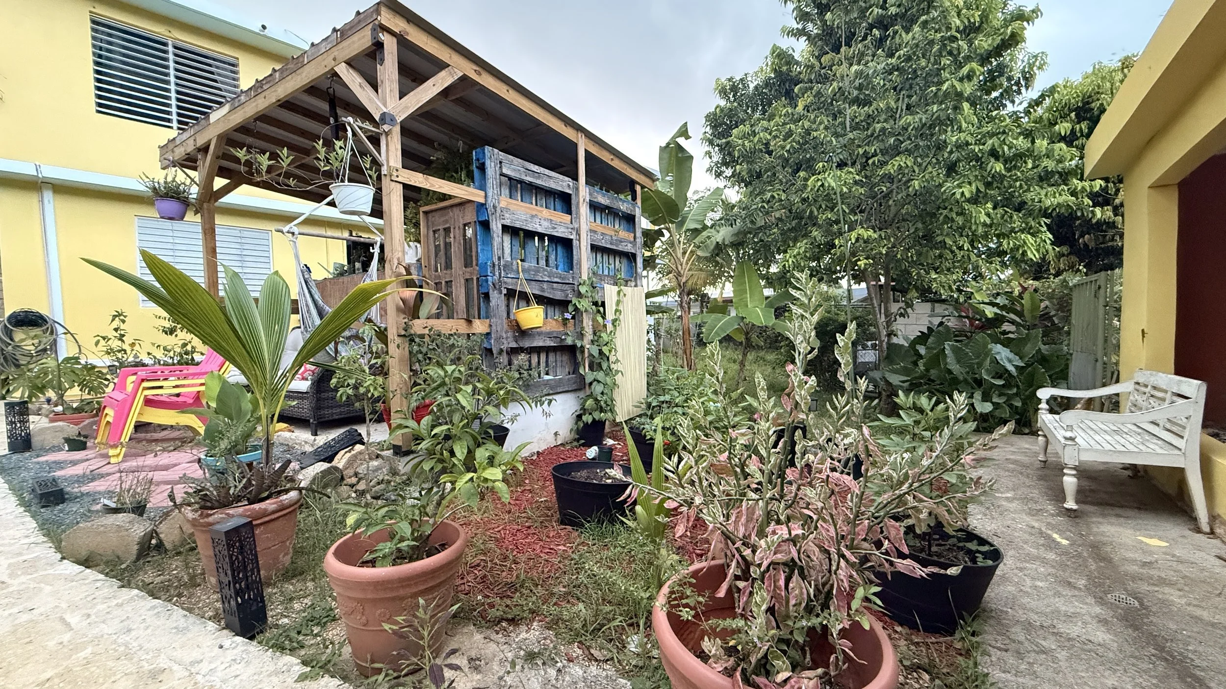 A backyard garden with various potted plants, a small wooden structure, colorful chairs, and a white bench under trees with lush green foliage.