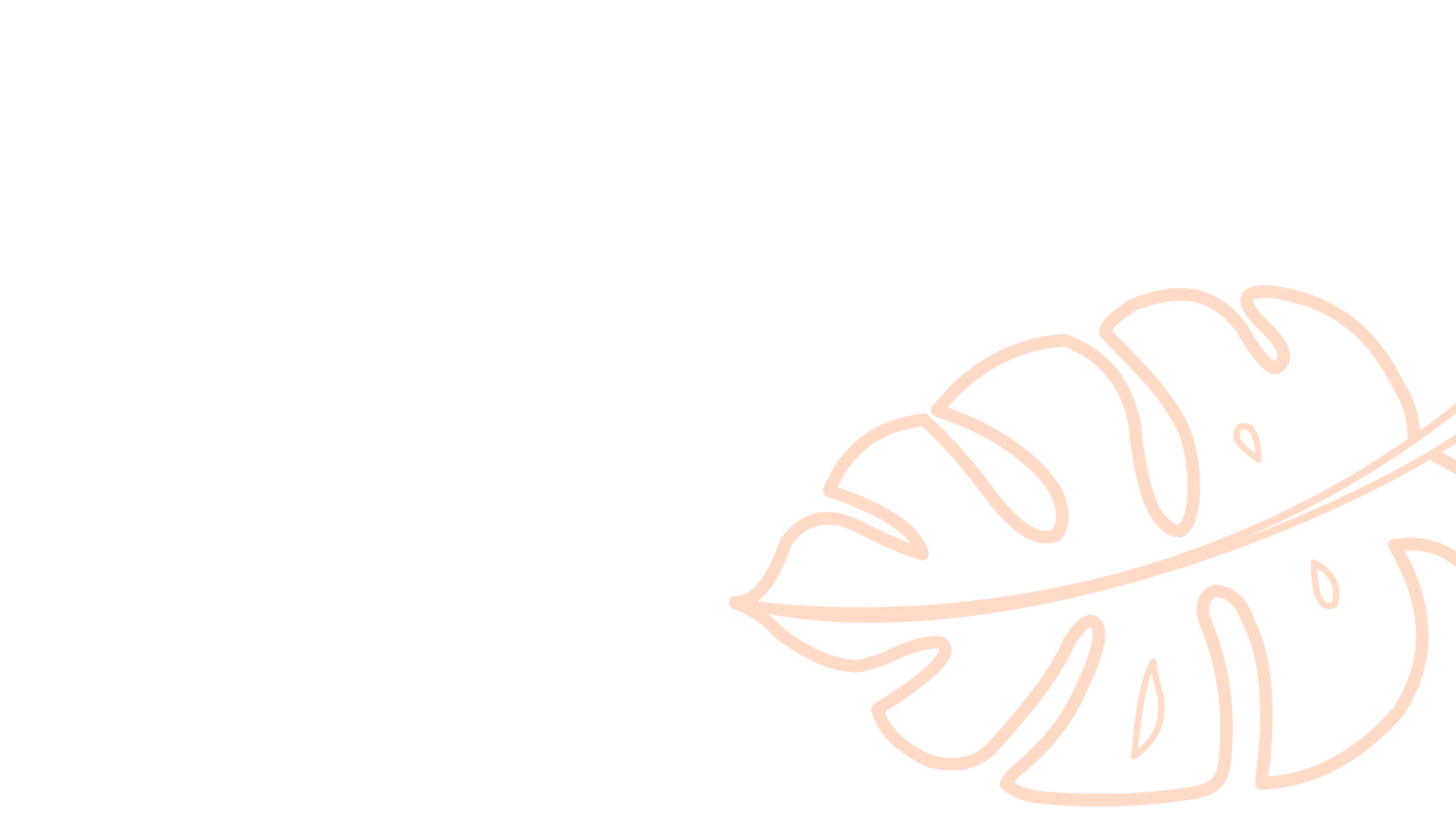 Pink neon line drawing of a Monstera leaf on a black background.