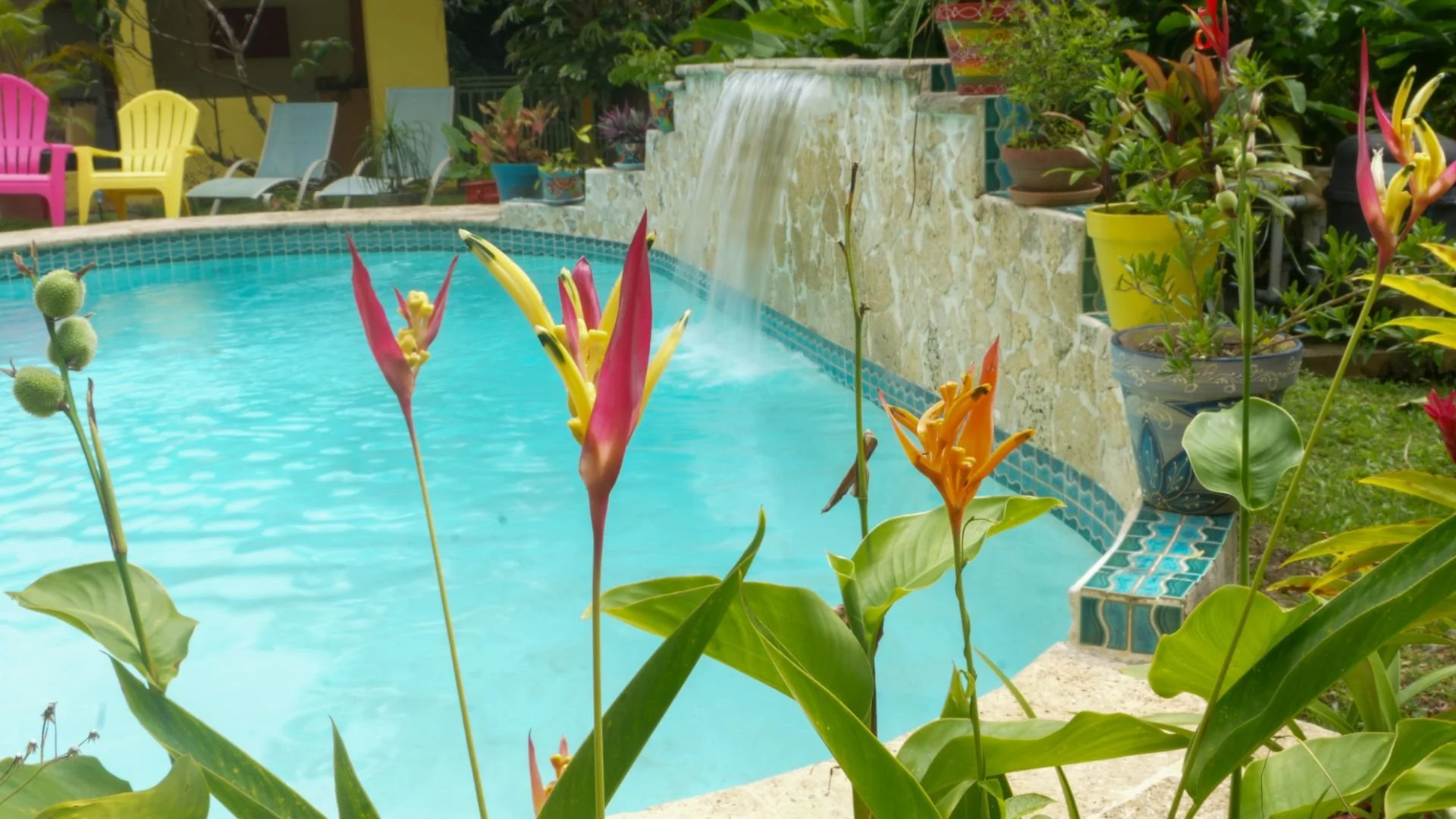 A backyard swimming pool surrounded by vibrant flowers in pots and colorful chairs.