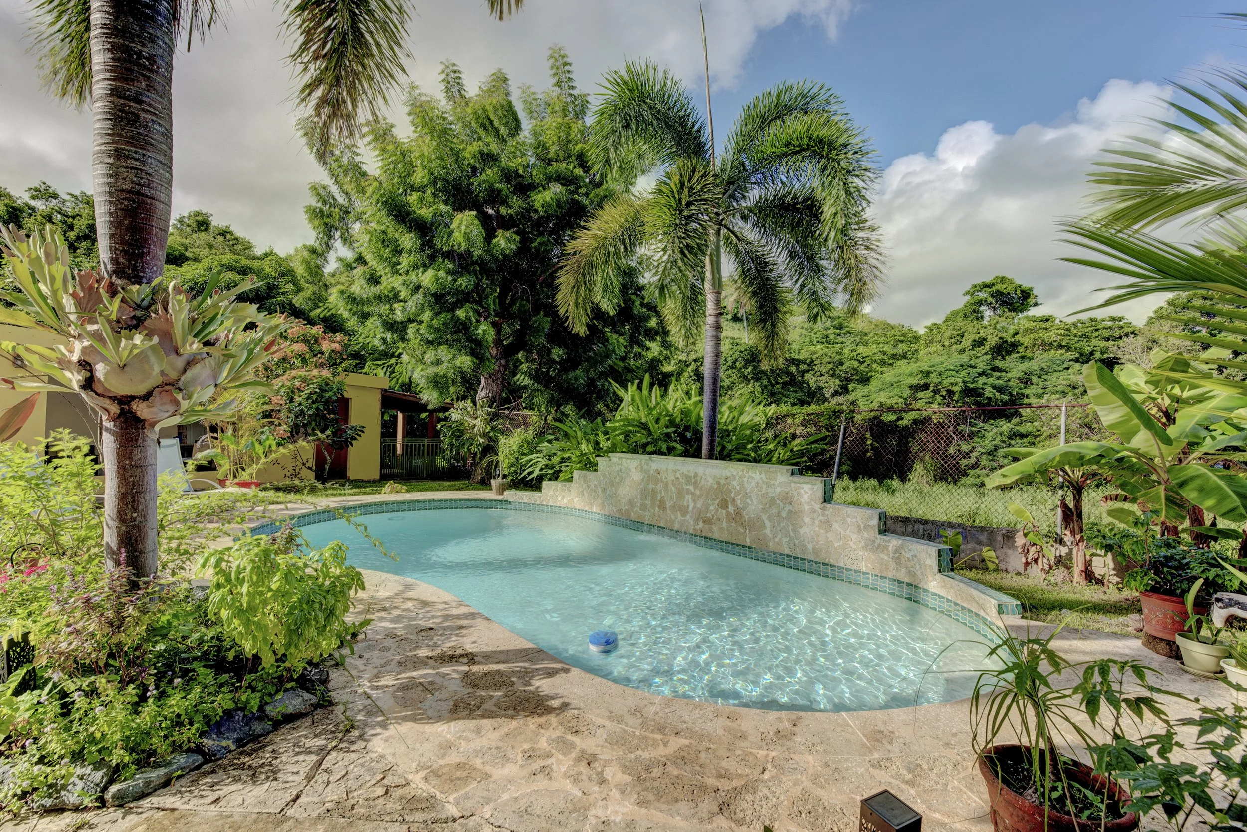 A backyard with a swimming pool surrounded by lush green tropical trees and plants, with a partly cloudy sky overhead.