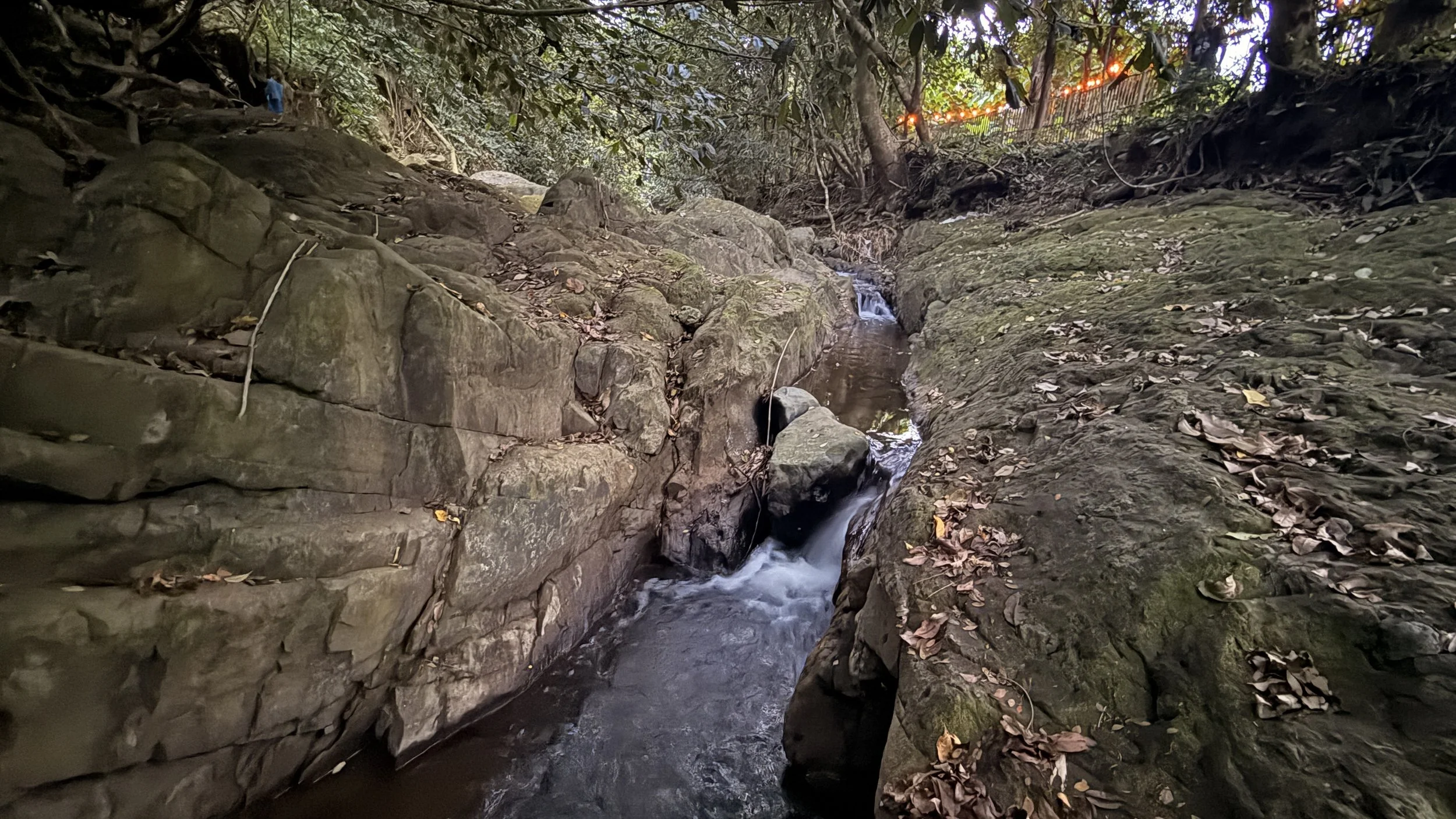 A small rocky creek flowing through a forested area with fallen leaves on the ground. The scene includes trees and a fence with orange lights in the background.