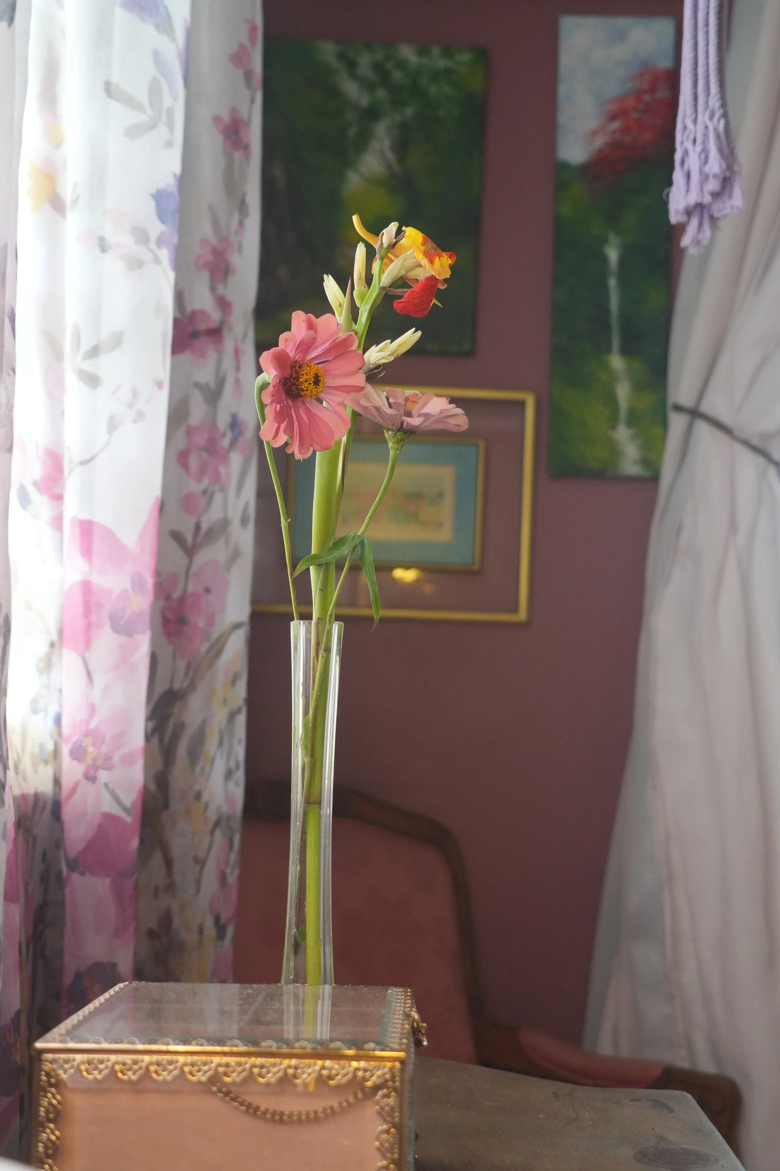 A single pink flower with a yellow and black center placed in a tall, clear glass vase located inside a room decorated with floral curtains and paintings of nature on pink walls.