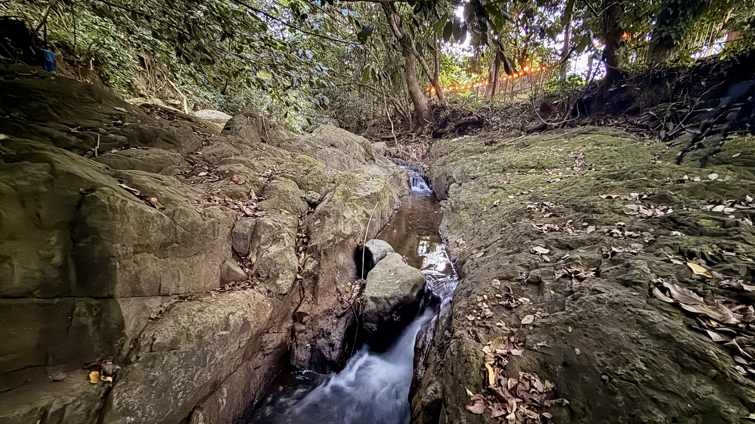 A narrow rocky stream flowing through a shaded forest area with green foliage and fallen leaves. In the background, there is a fence and string lights.