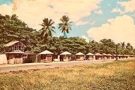 The original Luquillo Kiosks. A row of small huts with thatched roofs along a grassy area, with trees and palm trees in the background under a partly cloudy sky.