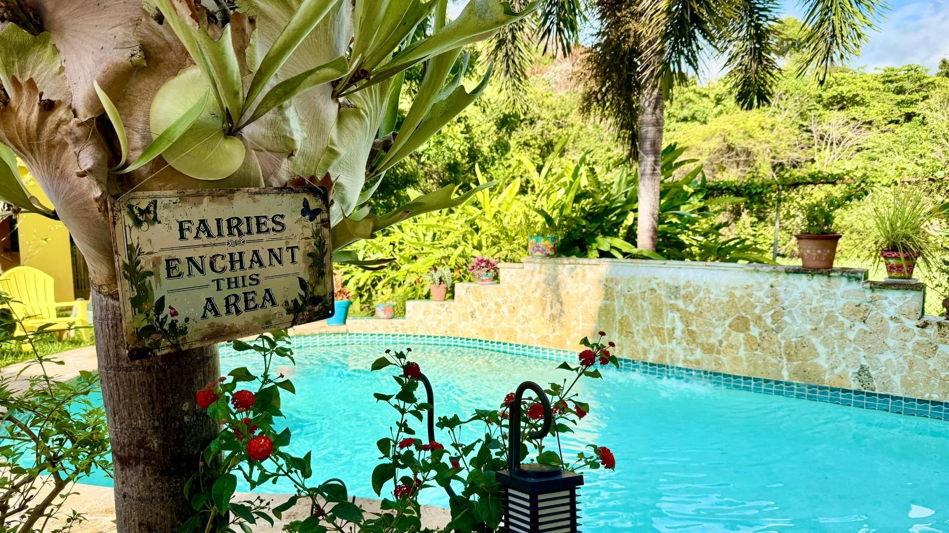A little poolside spell, where sunlit water shimmers under the palm trees and a friendly sign invites the fairies in for a quiet swim.
