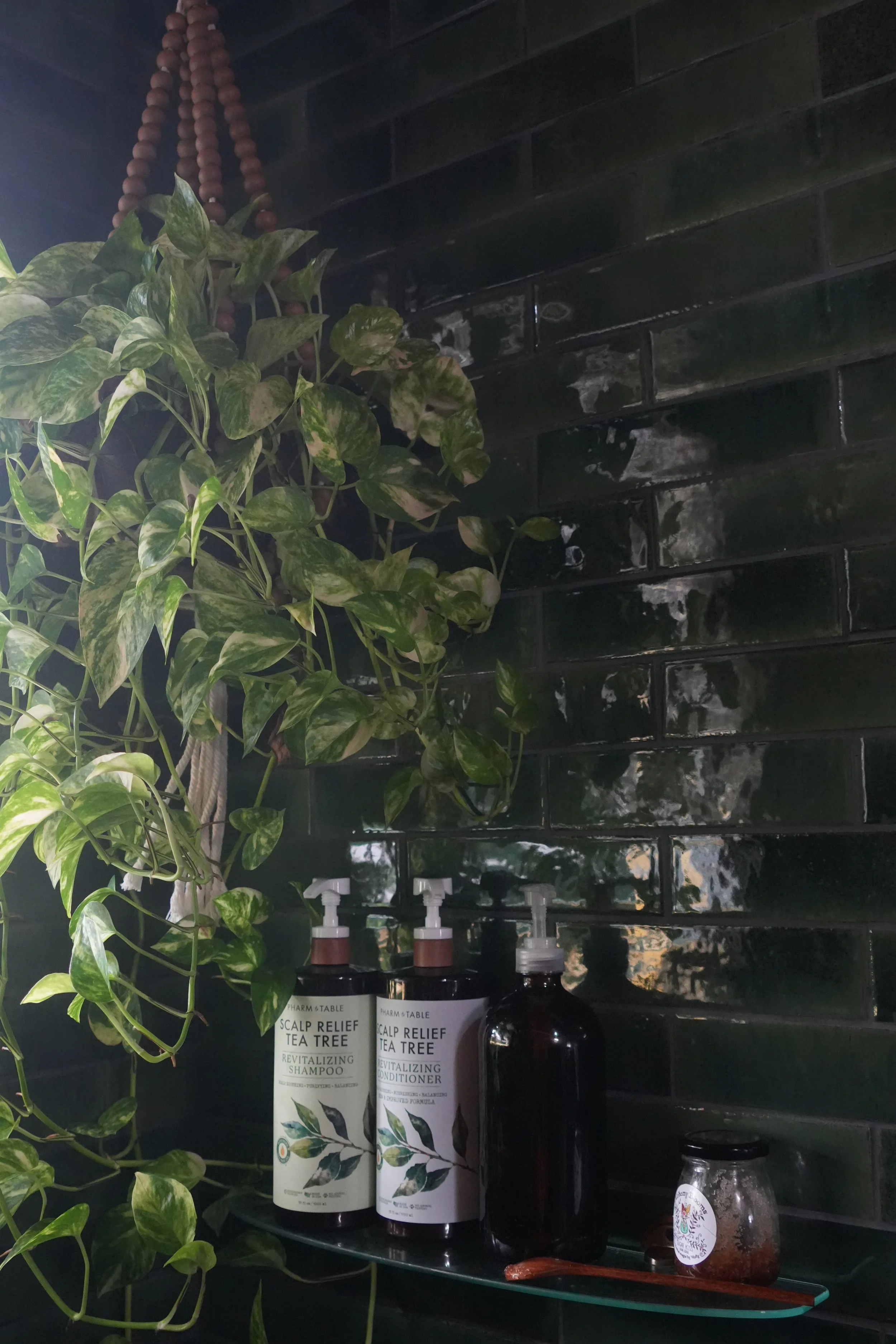 Shelves with a leafy green plant, bottles of scalp relief shampoo and conditioner, and various lotions or skincare bottles on a dark tiled wall.