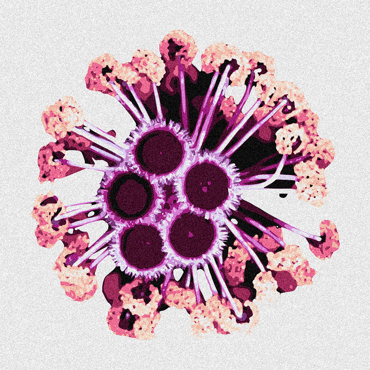 AUTO[PHAGY]. MONTHLY REFILL PROGRAM