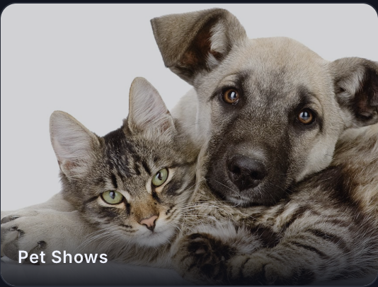 Screenshot 2026-03-24 at 4.35.14 PM.png