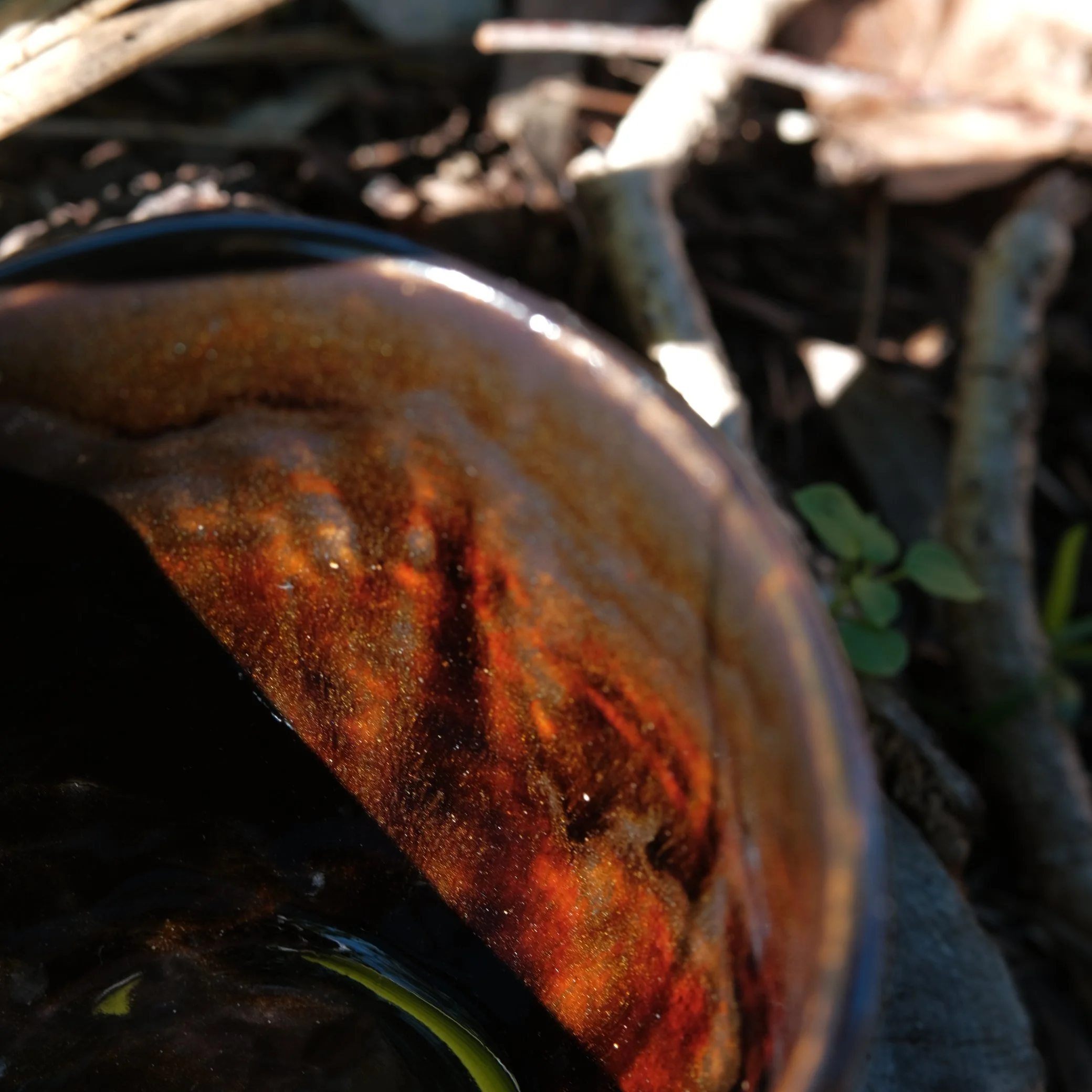 DSCF1465.JPG