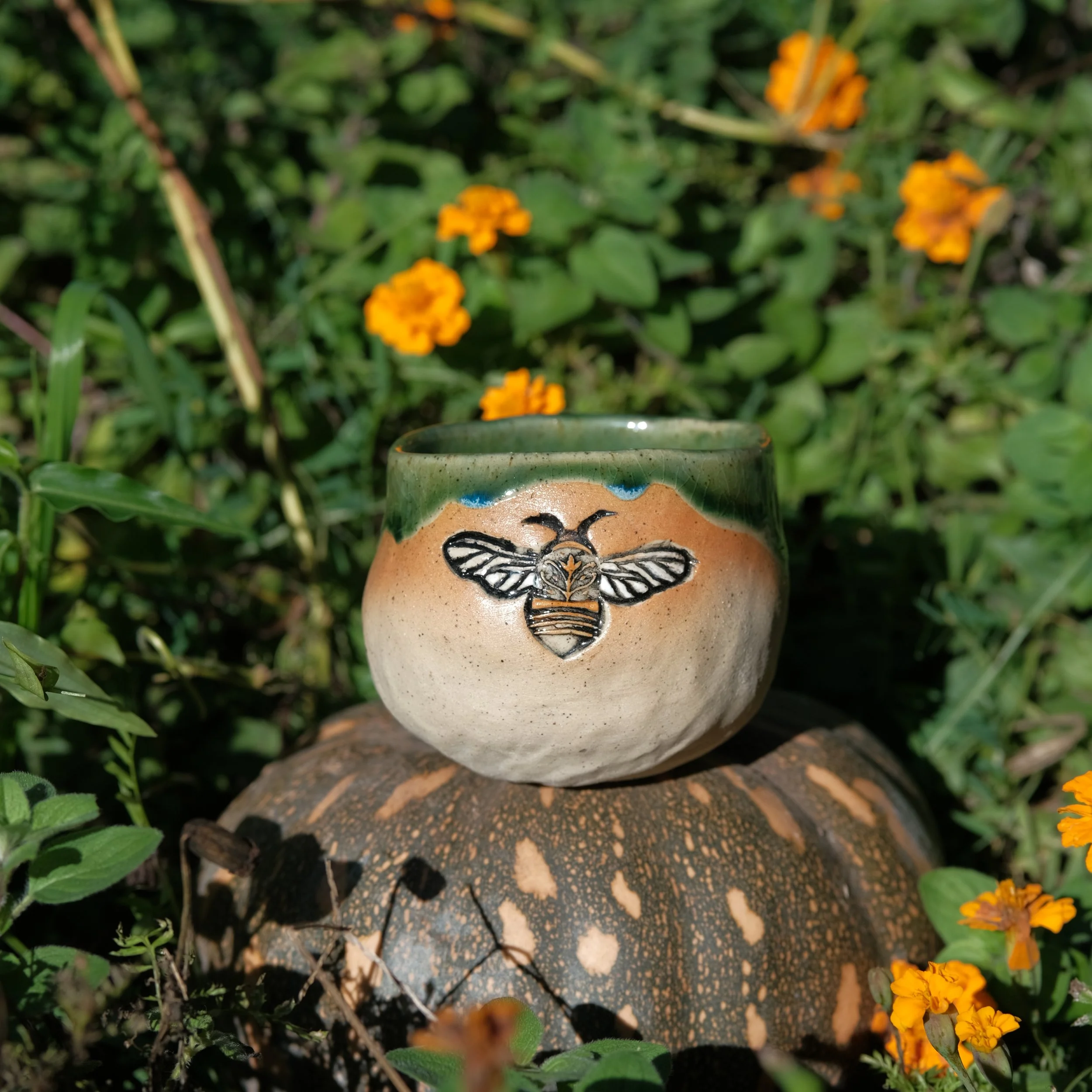 DSCF1554.JPG