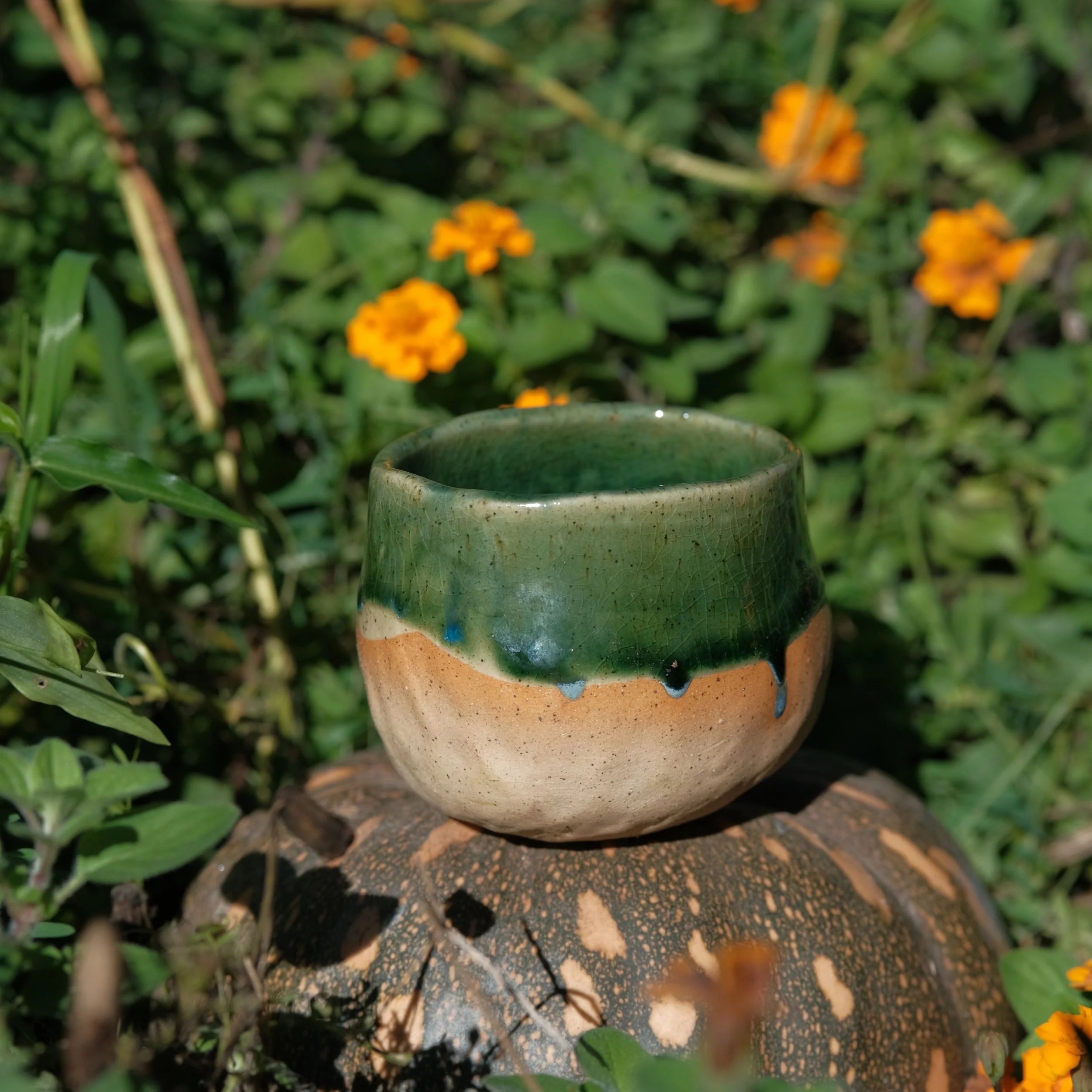 DSCF1558.JPG