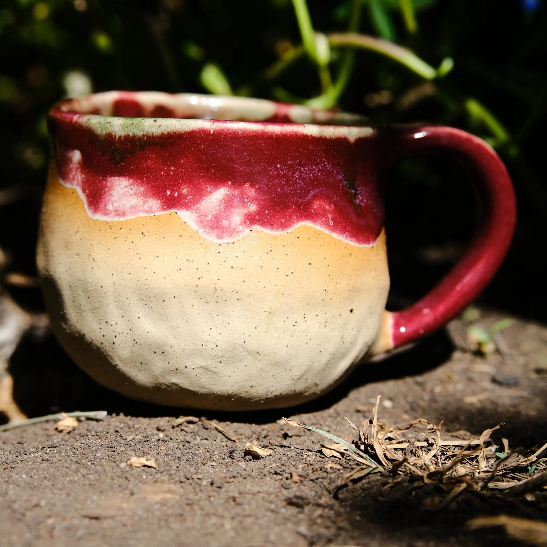 DSCF0707.JPG