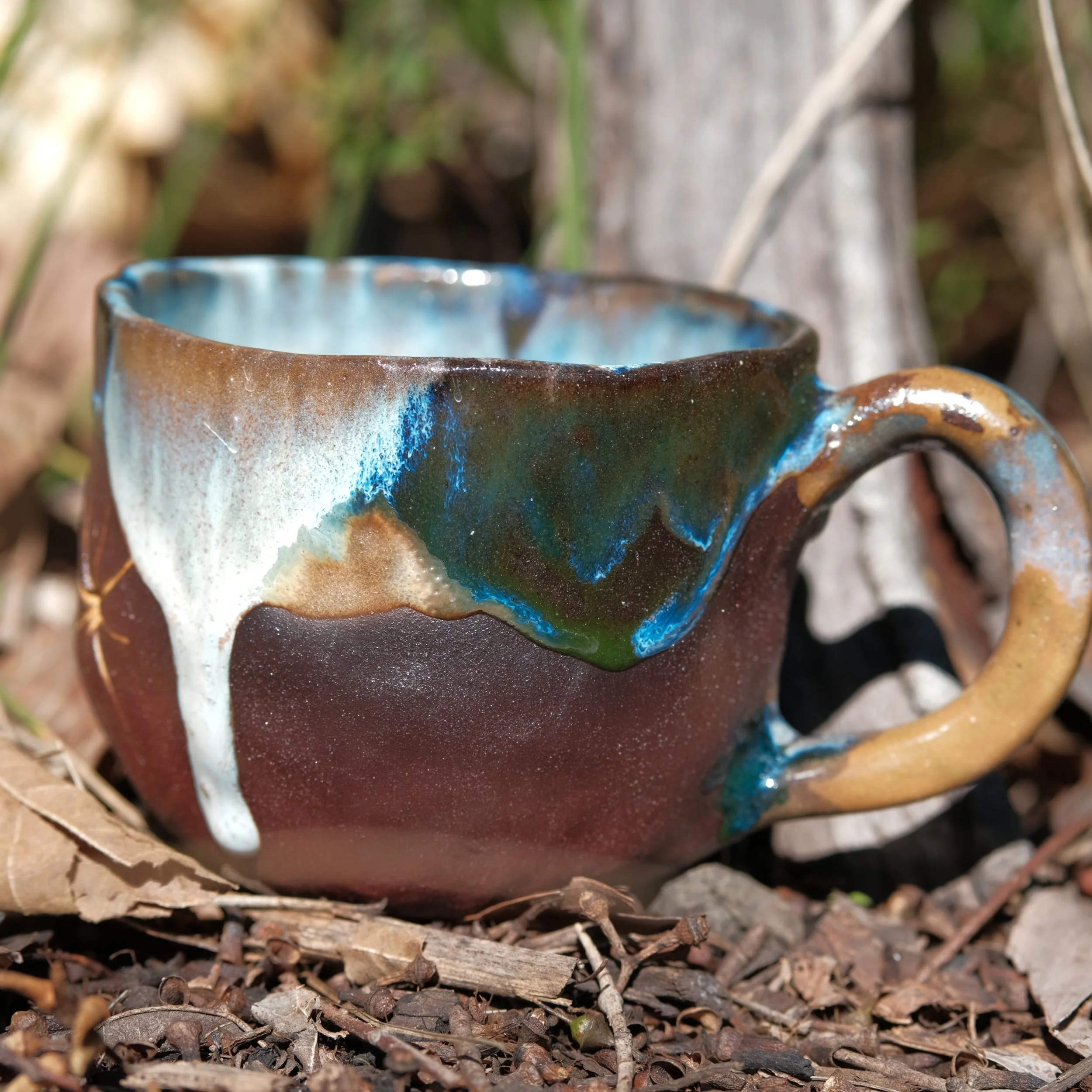 DSCF1551.JPG