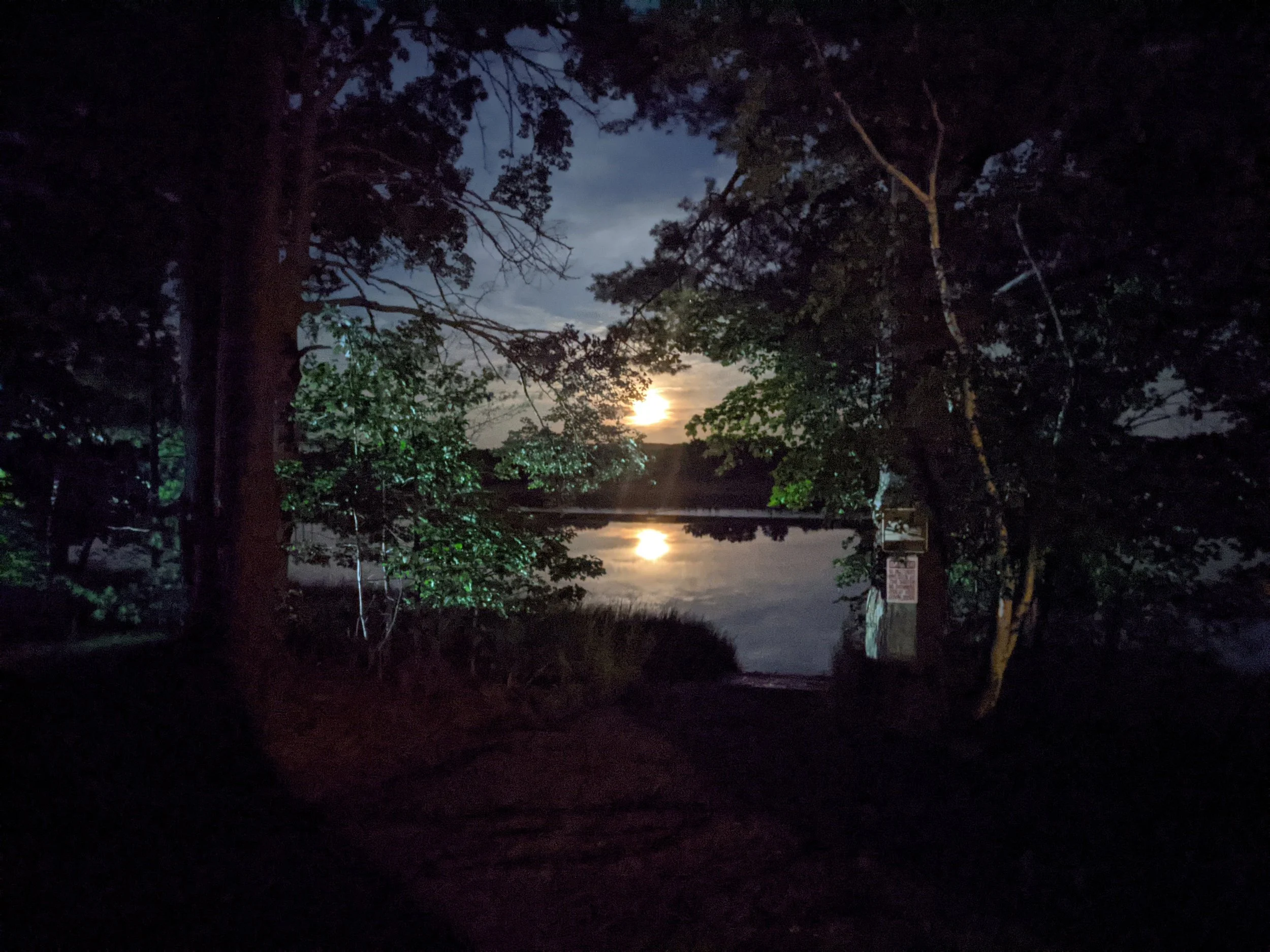 Nighttime scene of a river viewed through trees with the moon rising in the sky, its reflection visible on the water.