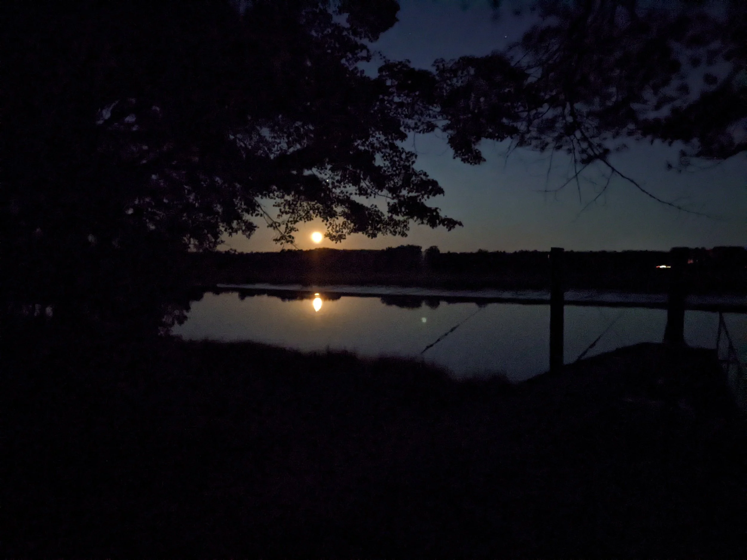 Nighttime scene with the moon reflecting on a calm body of water, framed by dark trees and a shoreline with a small dock or fence.