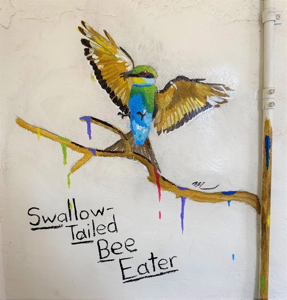 The first of two mural-style birds I painted on my college campus (shh don't tell!). I was inspired to paint a bird landing on a branch by using the nearby pipe as a way to integrate it into the space, and picked a dynamic pose of an African bird I l