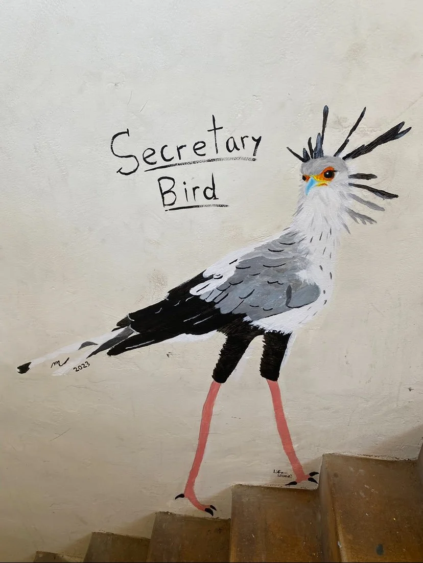 Finally my second mural bird in the same space. In keeping with the theme of integrating with the architecture, I decided to pick the stairs for the bird to be walking up and intentionally painted this one life-size (more than 3 feet tall!) in order 