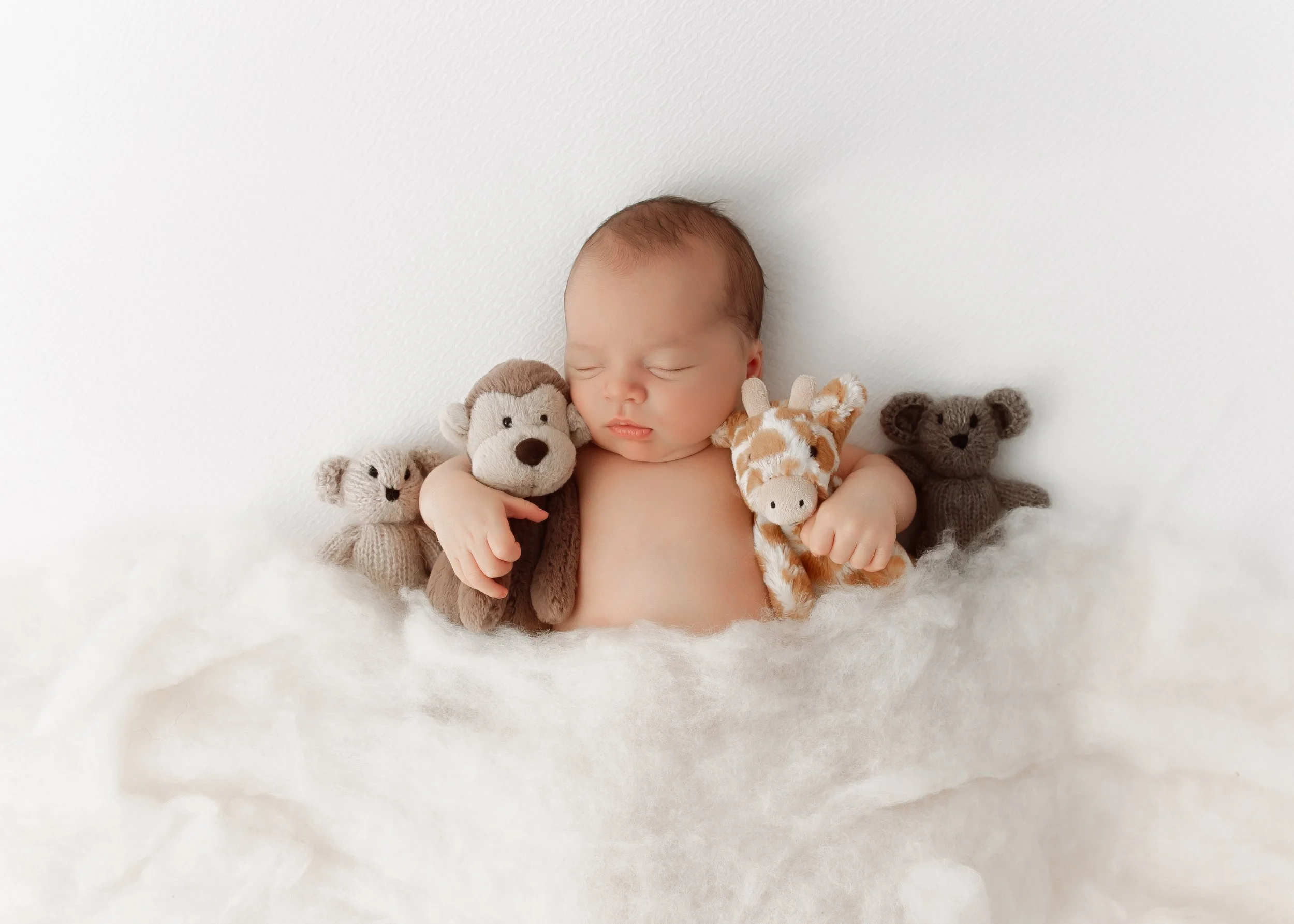 Newborn baby sleeping amidst four plush animal toys—two bears, a lion, and a giraffe—on a soft white surface with a white background.