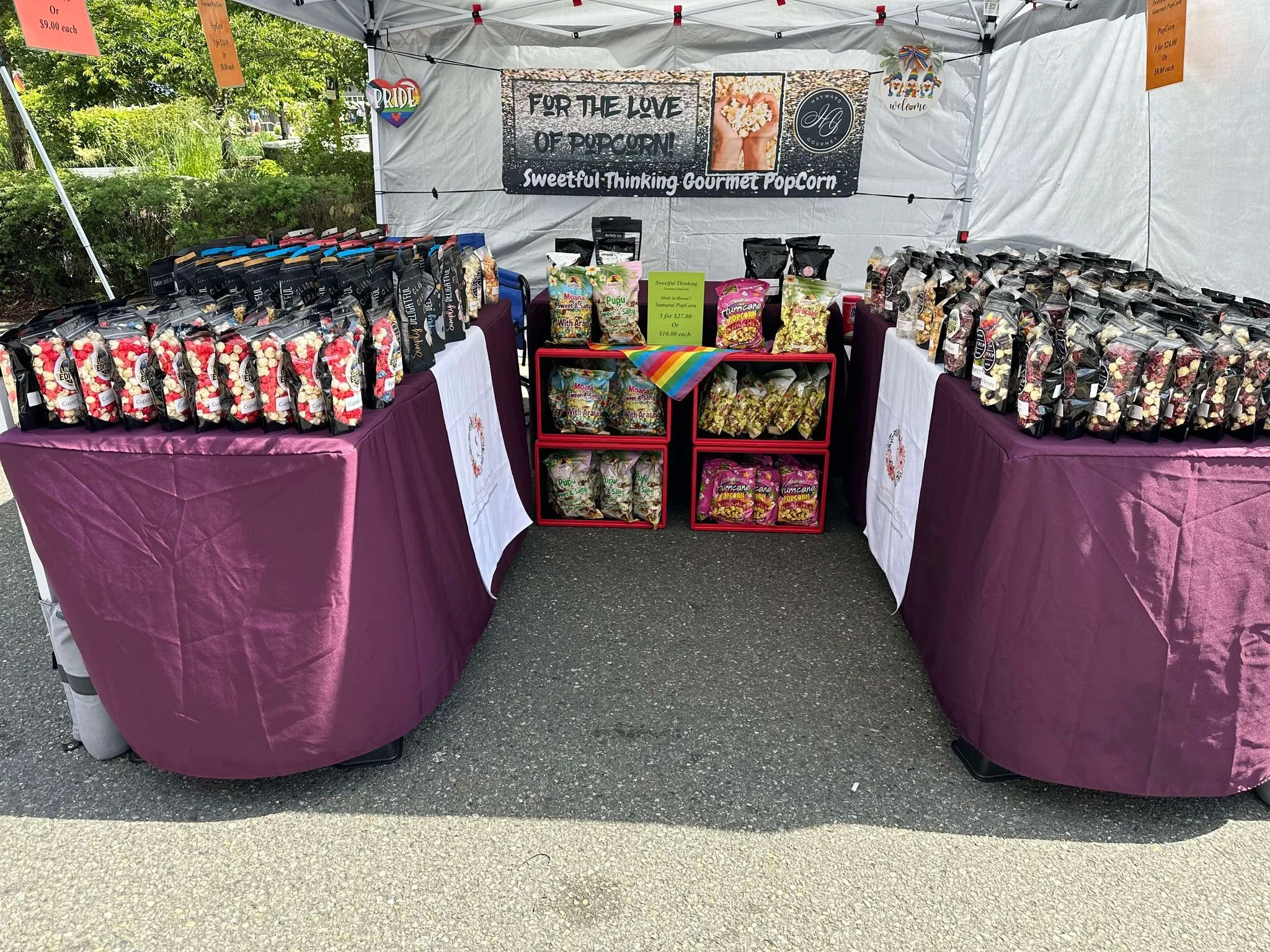 Burien Pride Festival(1).jpg