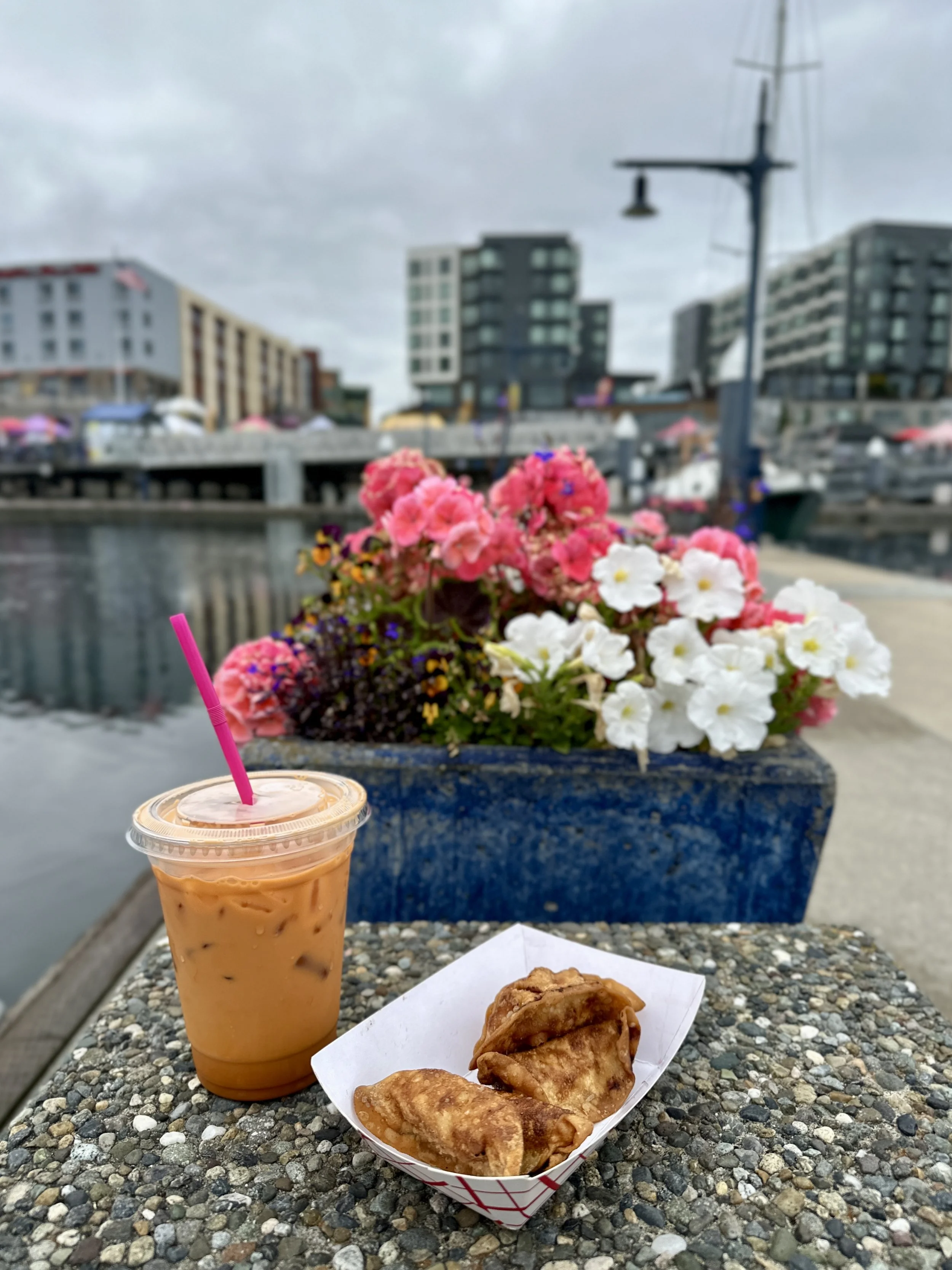 A plastic cup of iced coffee with a pink straw, a white paper tray with two fried potstickers, a background of a flower pot with pink, white, and purple flowers, and a harbor with a boat, buildings, and a cloudy sky.