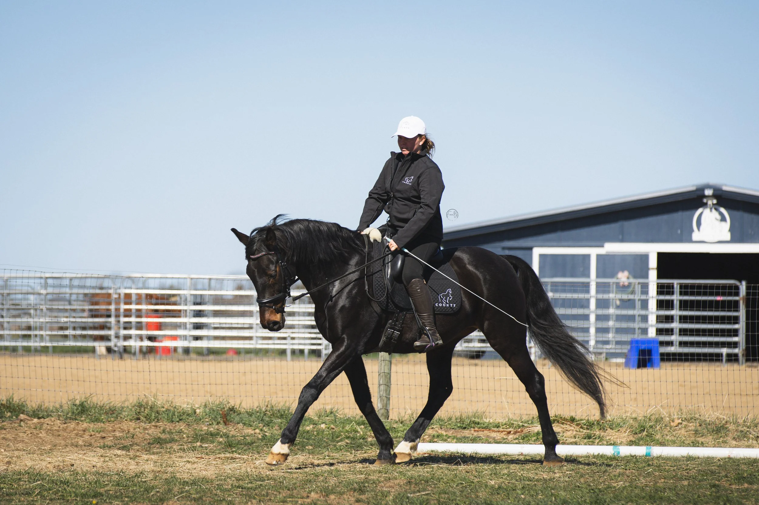 A woman riding a black horse in an enclosed outdoor riding arena with a blue barn and clear sky in the background.