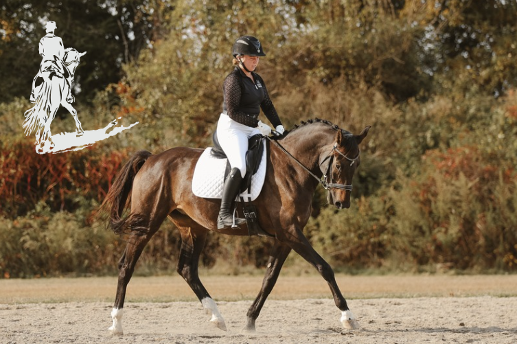 A woman riding a horse in an outdoor arena during autumn, with trees showing fall foliage in the background.