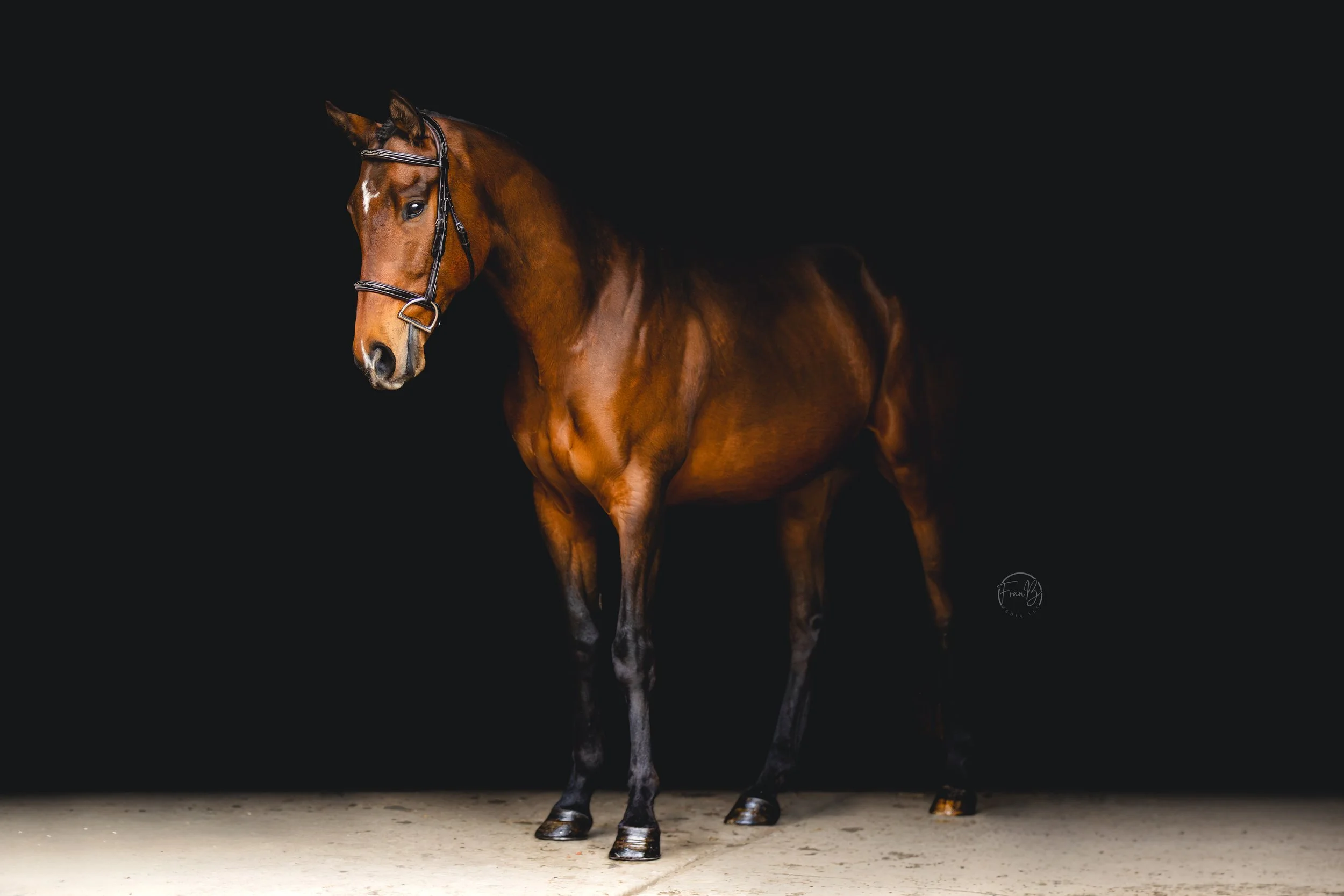 Henson 4.jpg