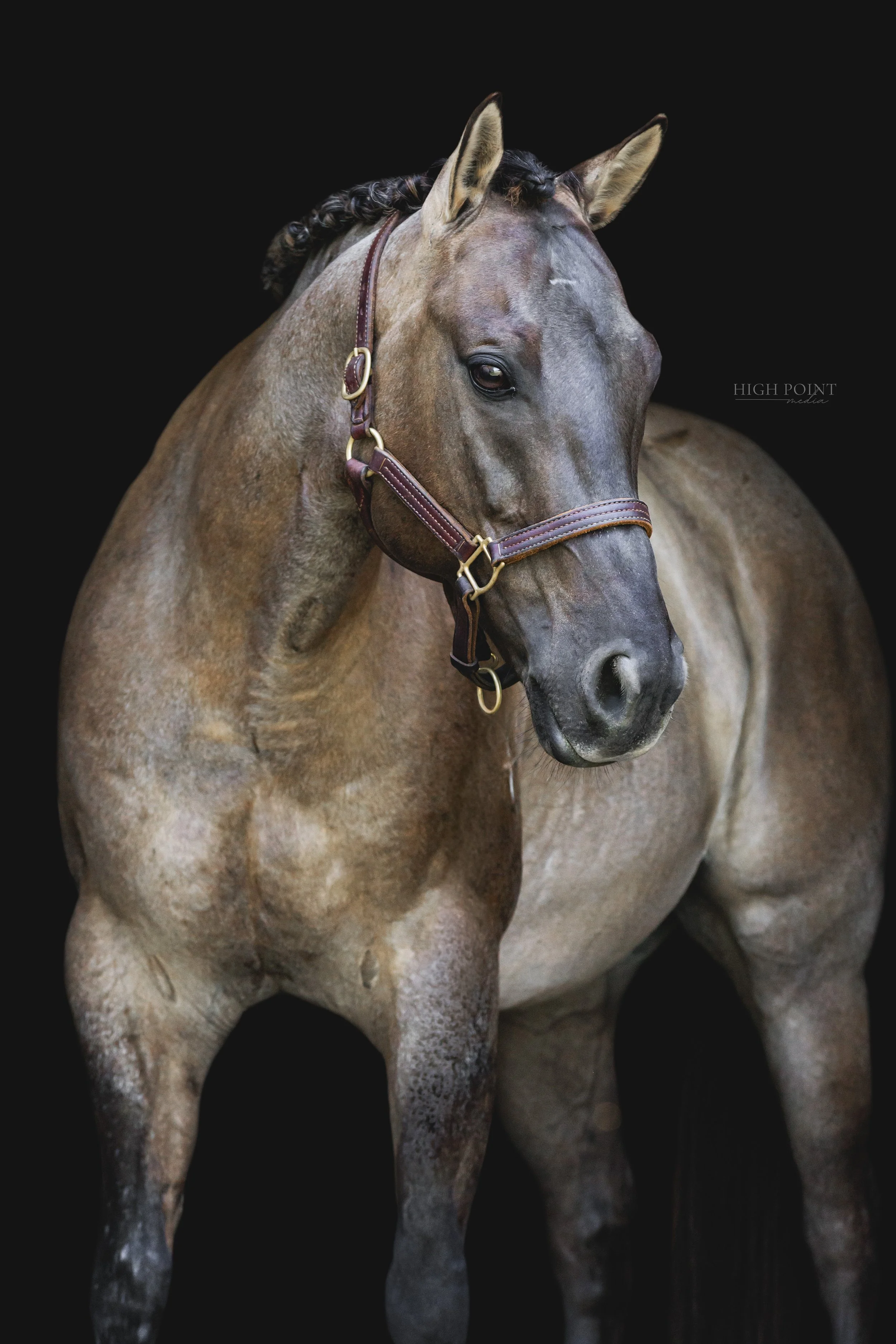 FRAN6321-Edit.jpg