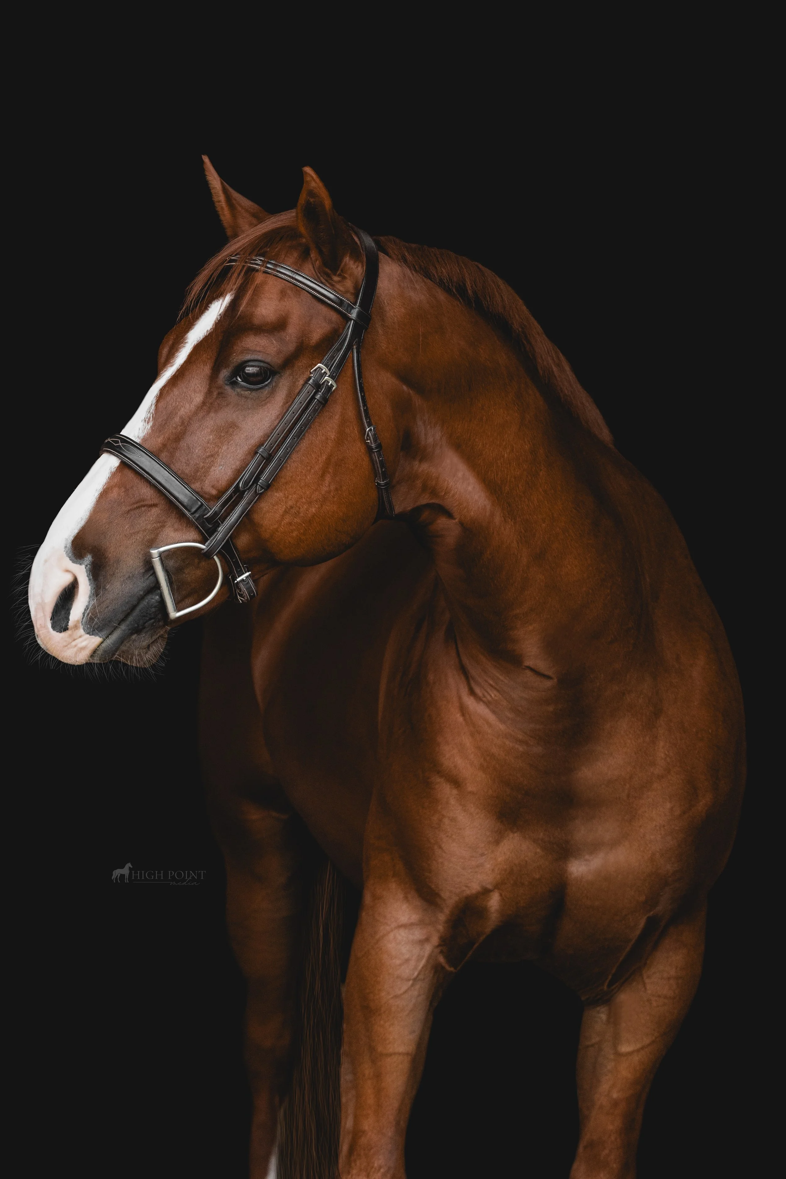 Beau.jpg