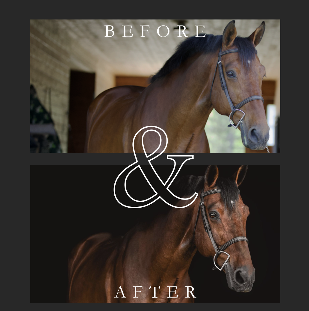 Comparison image of a brown horse inside a barn, before and after editing. The top shows the horse in natural light, the bottom shows the horse against a black background with enhanced lighting and contrast. Black background session
