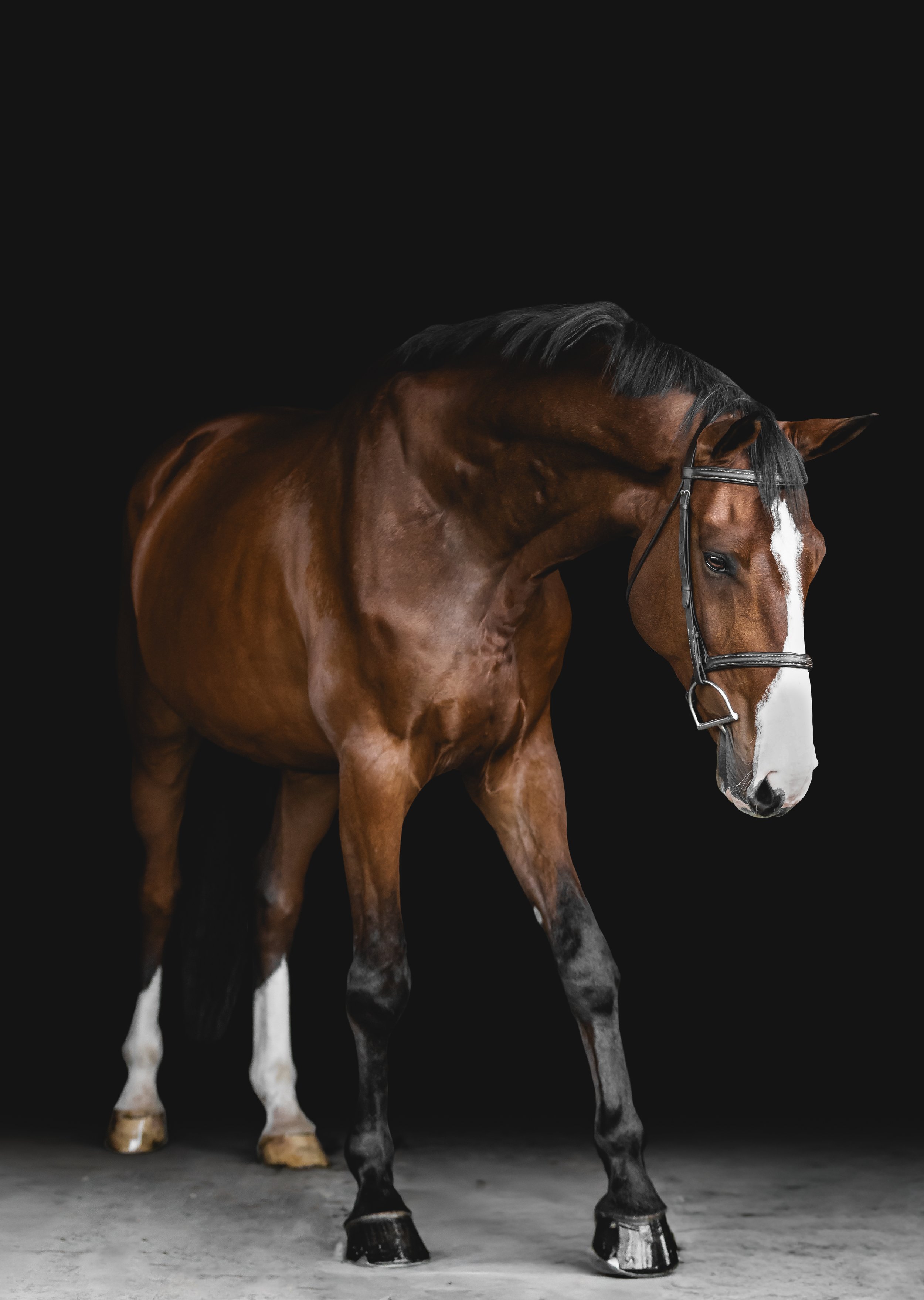 black background session photo.jpg