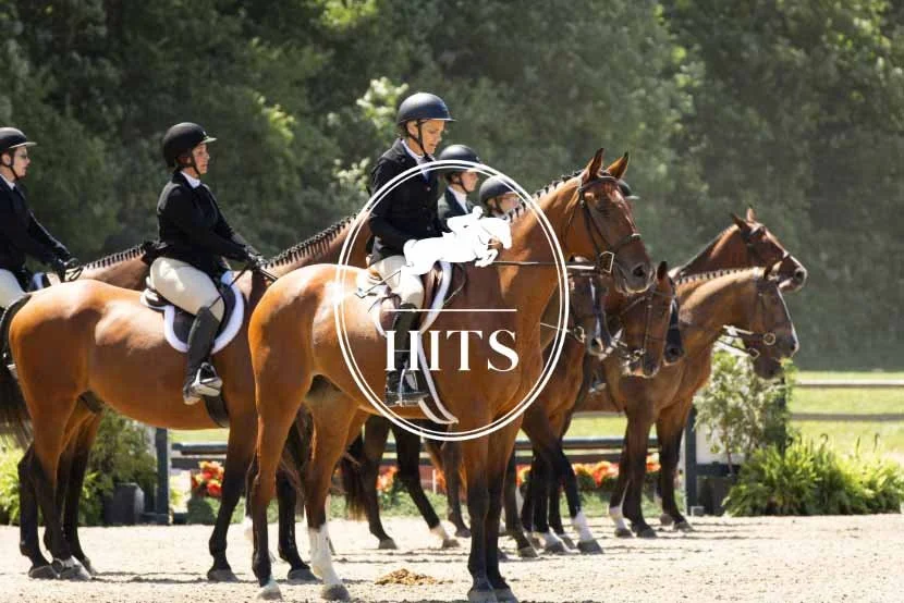 HITS Saugerties